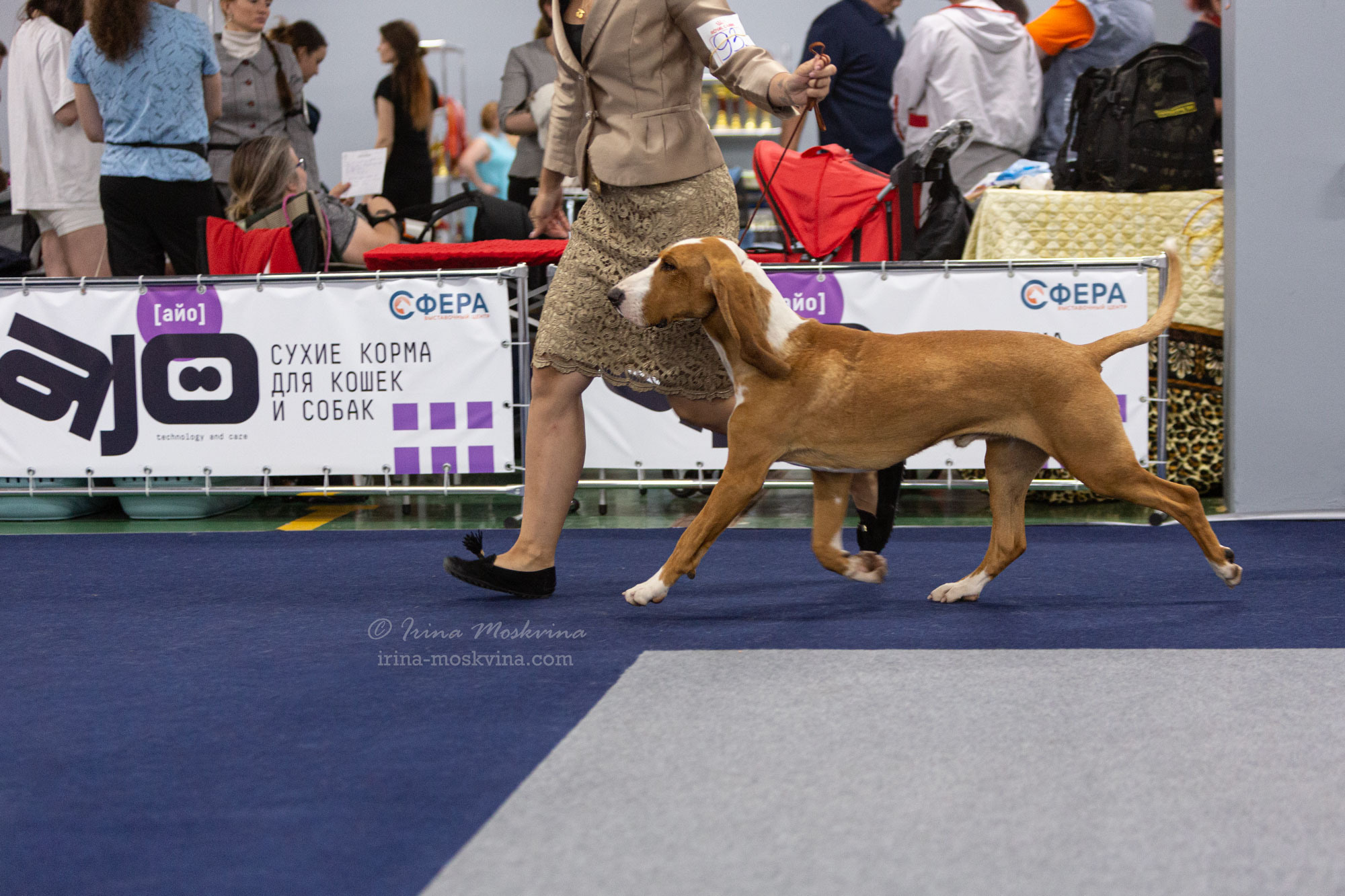 Москва, ВЦ «Сфера» | САС | 02.07.23. Ирина Москвина | фотограф | Москва