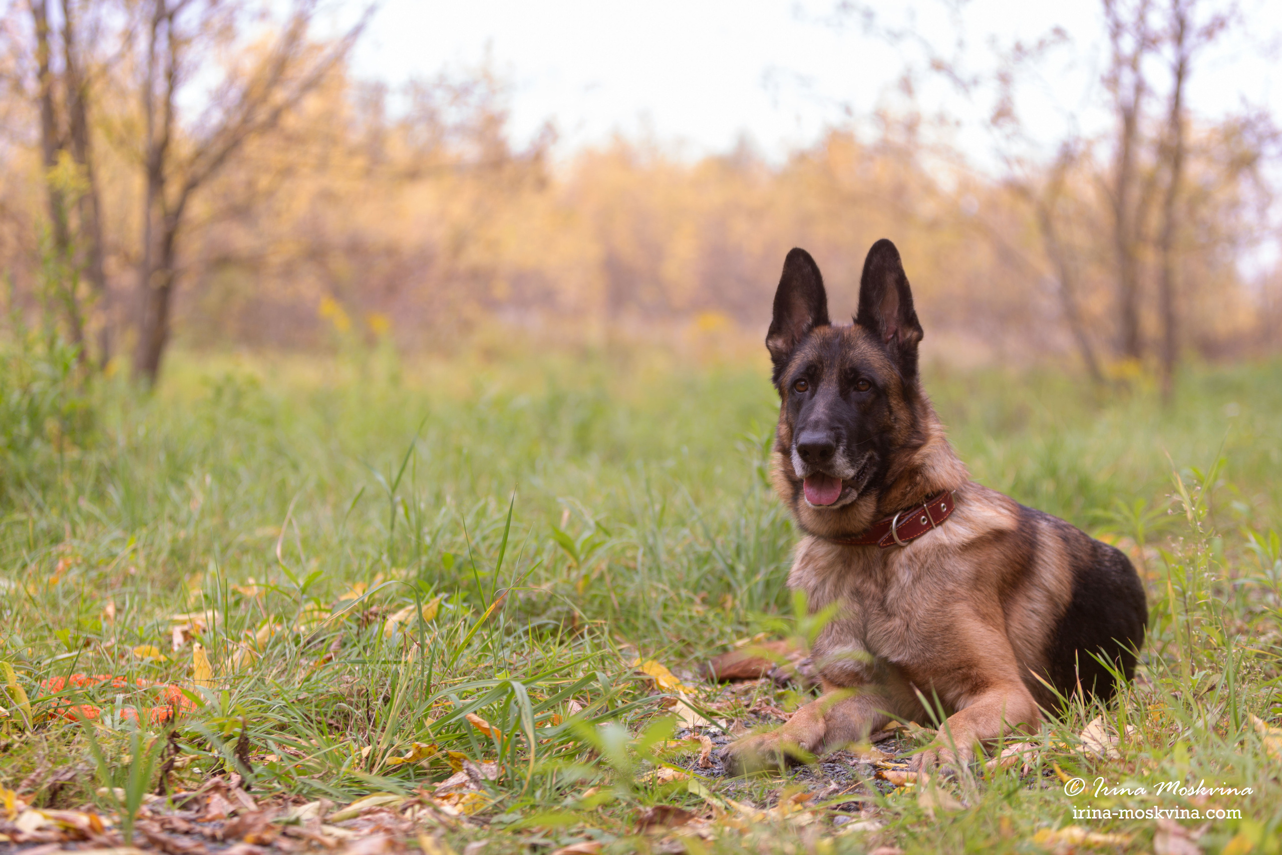 Valdzage Ritsa. Ирина Москвина | фотограф | Москва