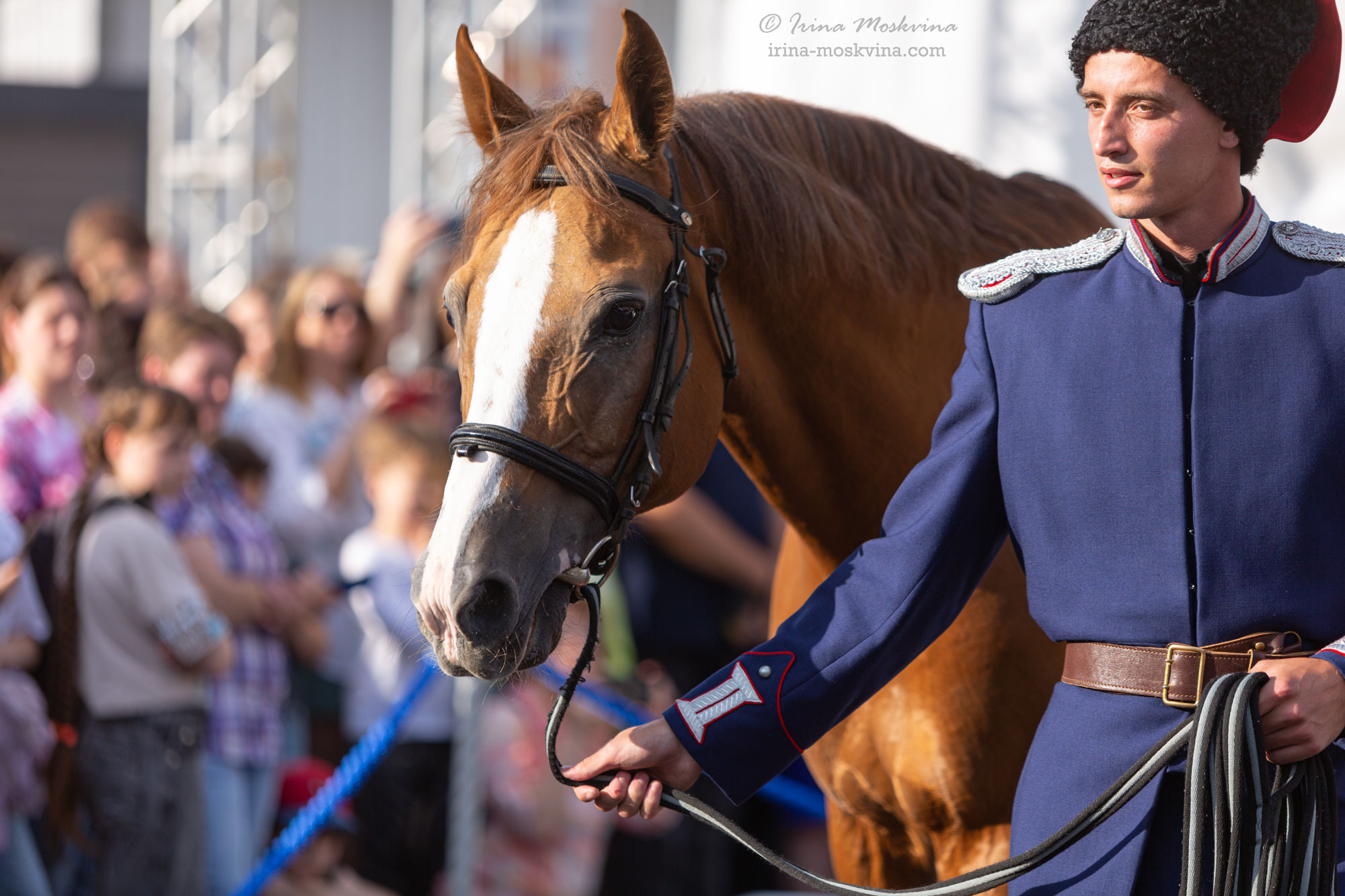 Донская порода