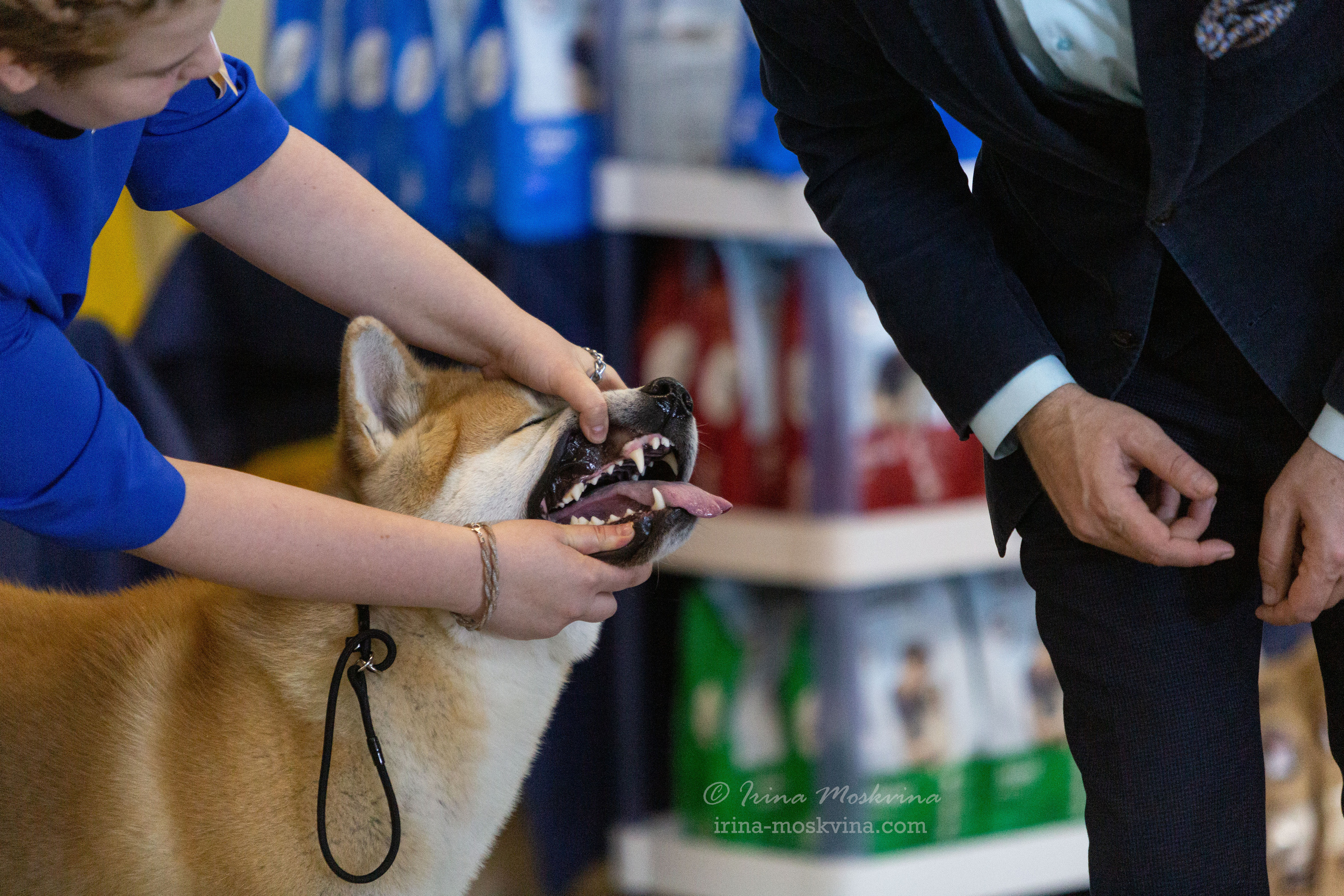 Белгород | САС | 19.03.22. Ирина Москвина | фотограф | Москва