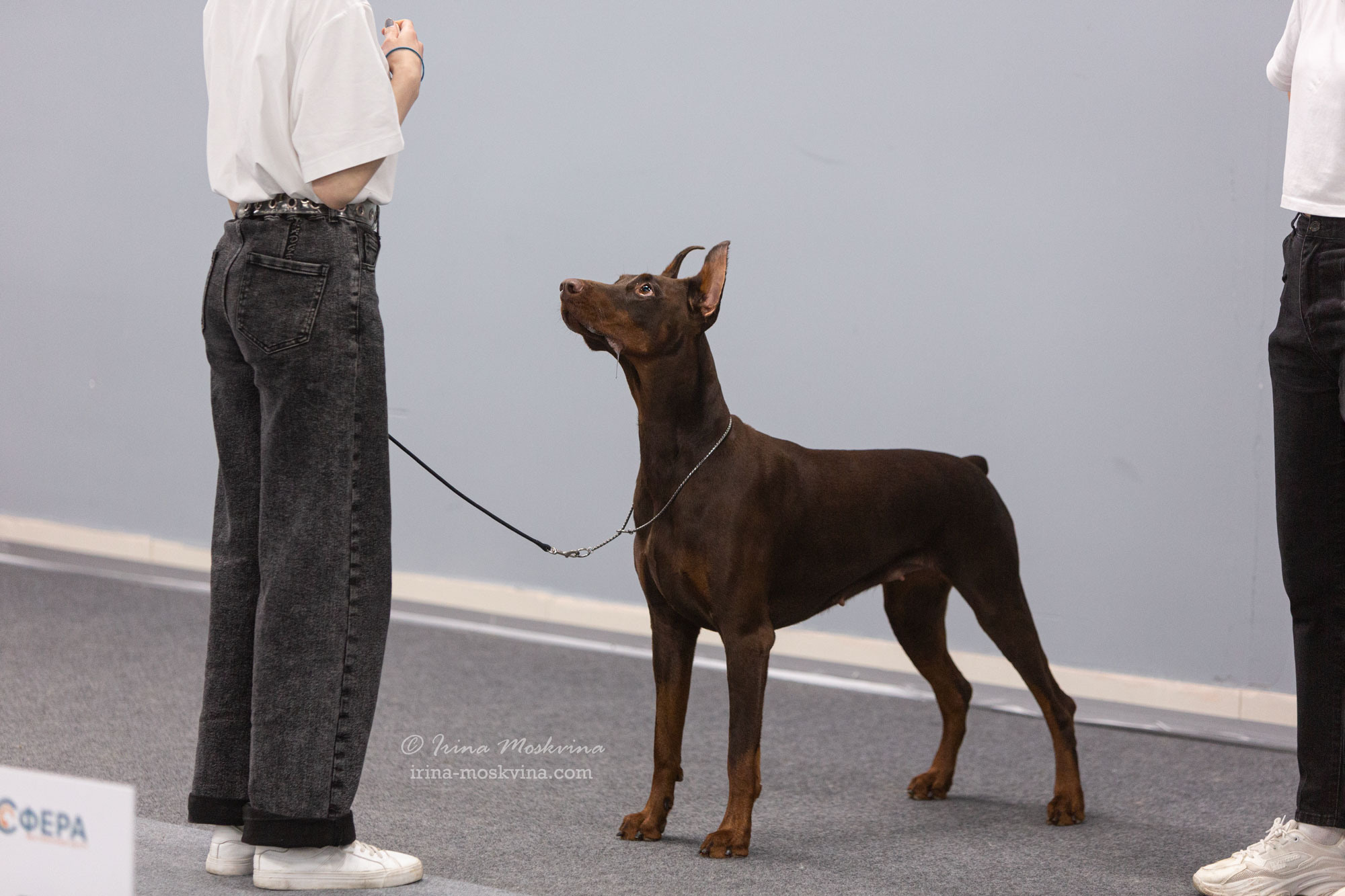 Москва, ВЦ «Сфера» | САС | 01.07.23. Ирина Москвина | фотограф | Москва