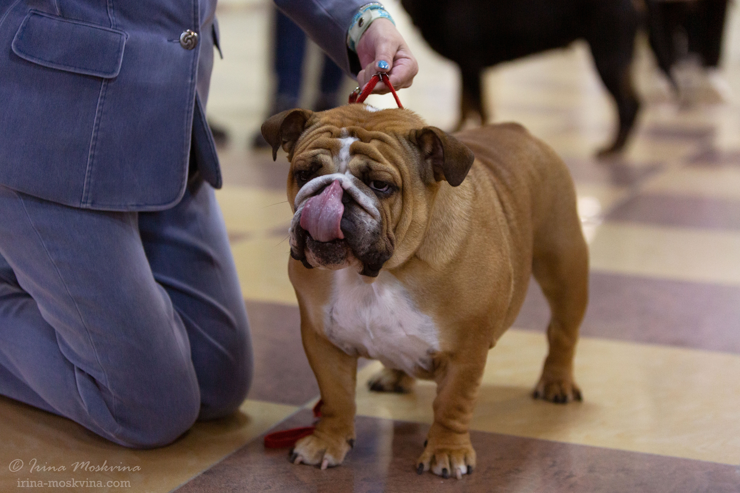 Белгород | САС | 14.11.21. Ирина Москвина | фотограф | Москва