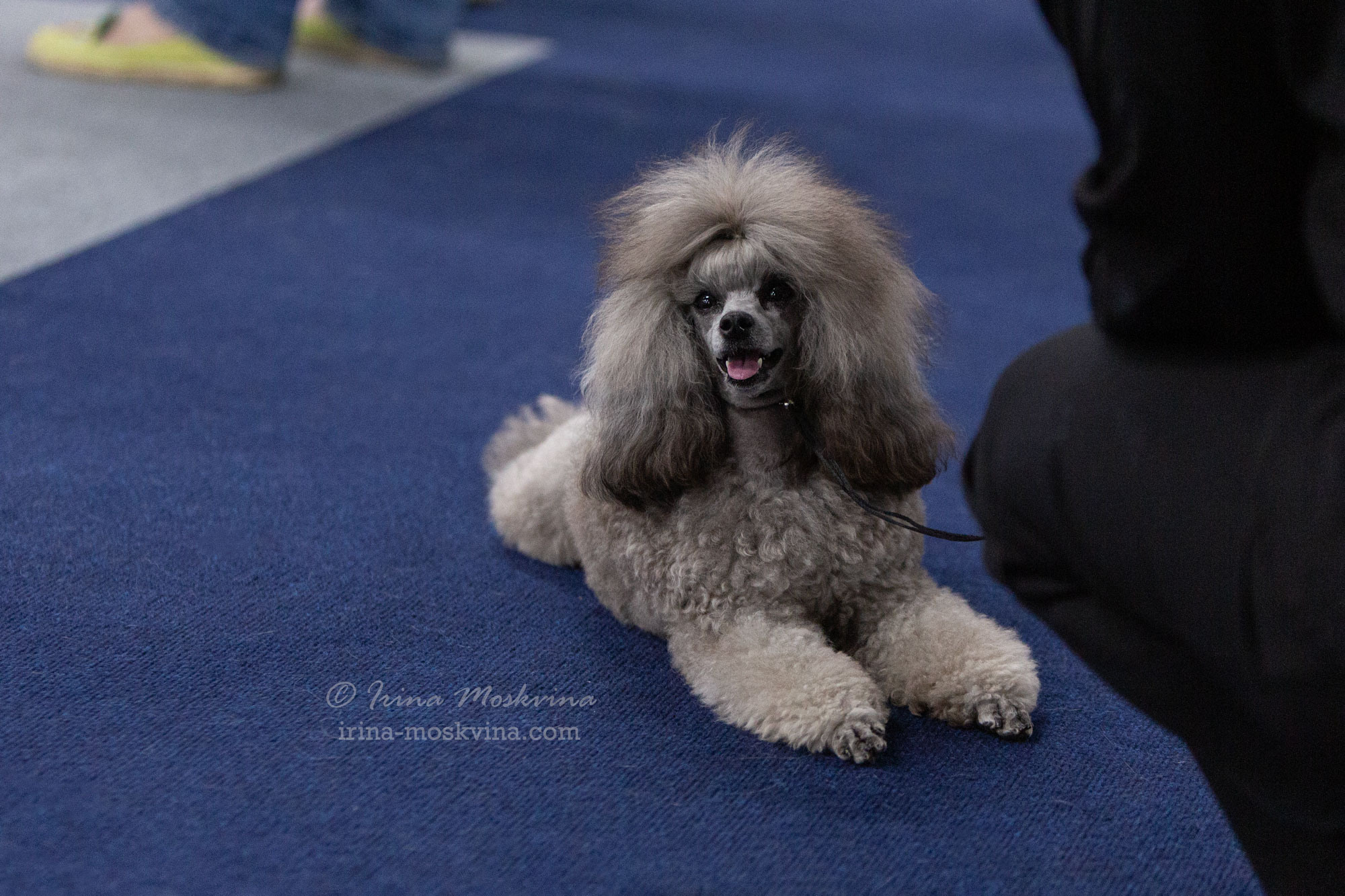 Москва, ВЦ «Сфера» | САС | 02.07.23. Ирина Москвина | фотограф | Москва