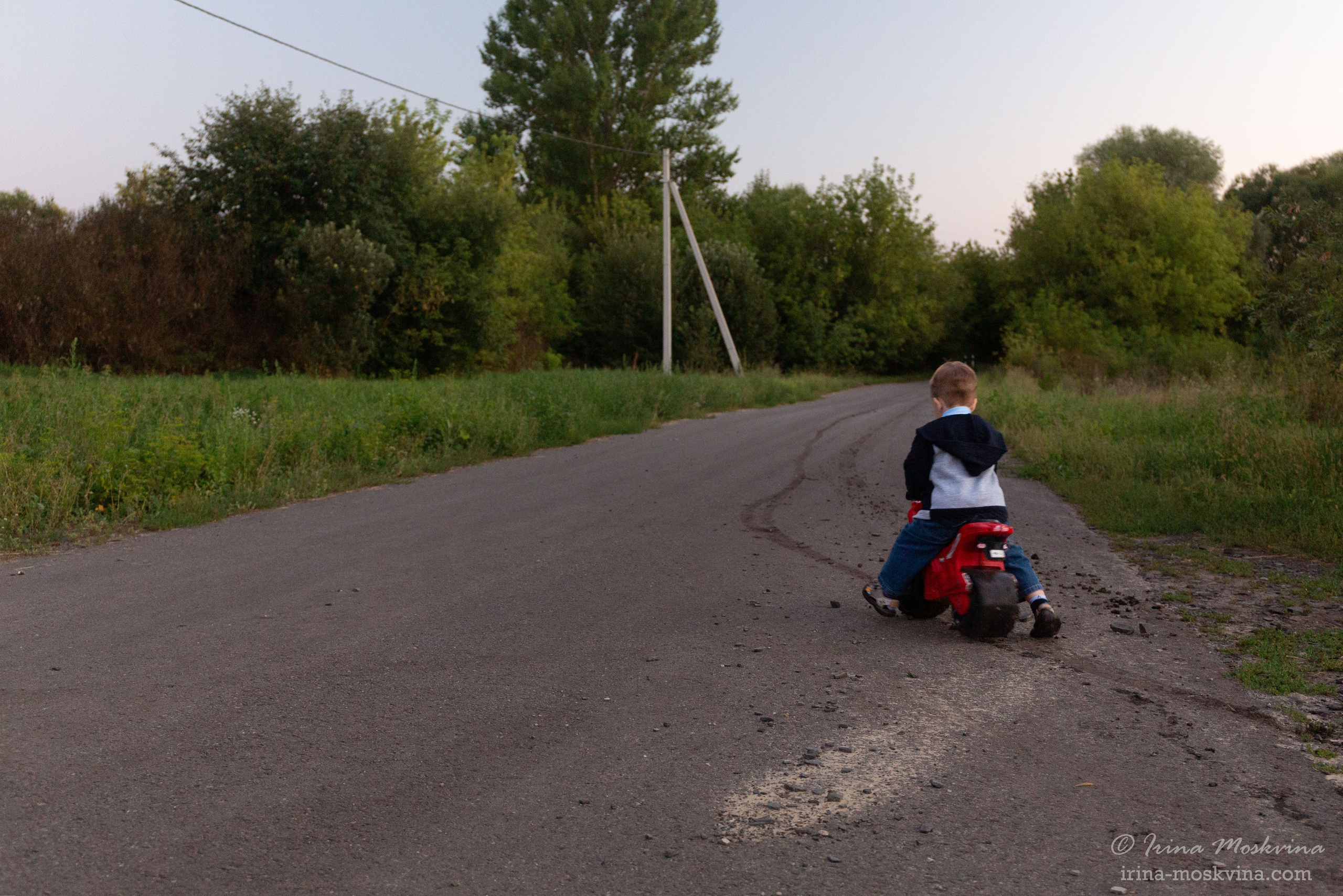 Егорка | август 2021. Ирина Москвина | фотограф | Москва