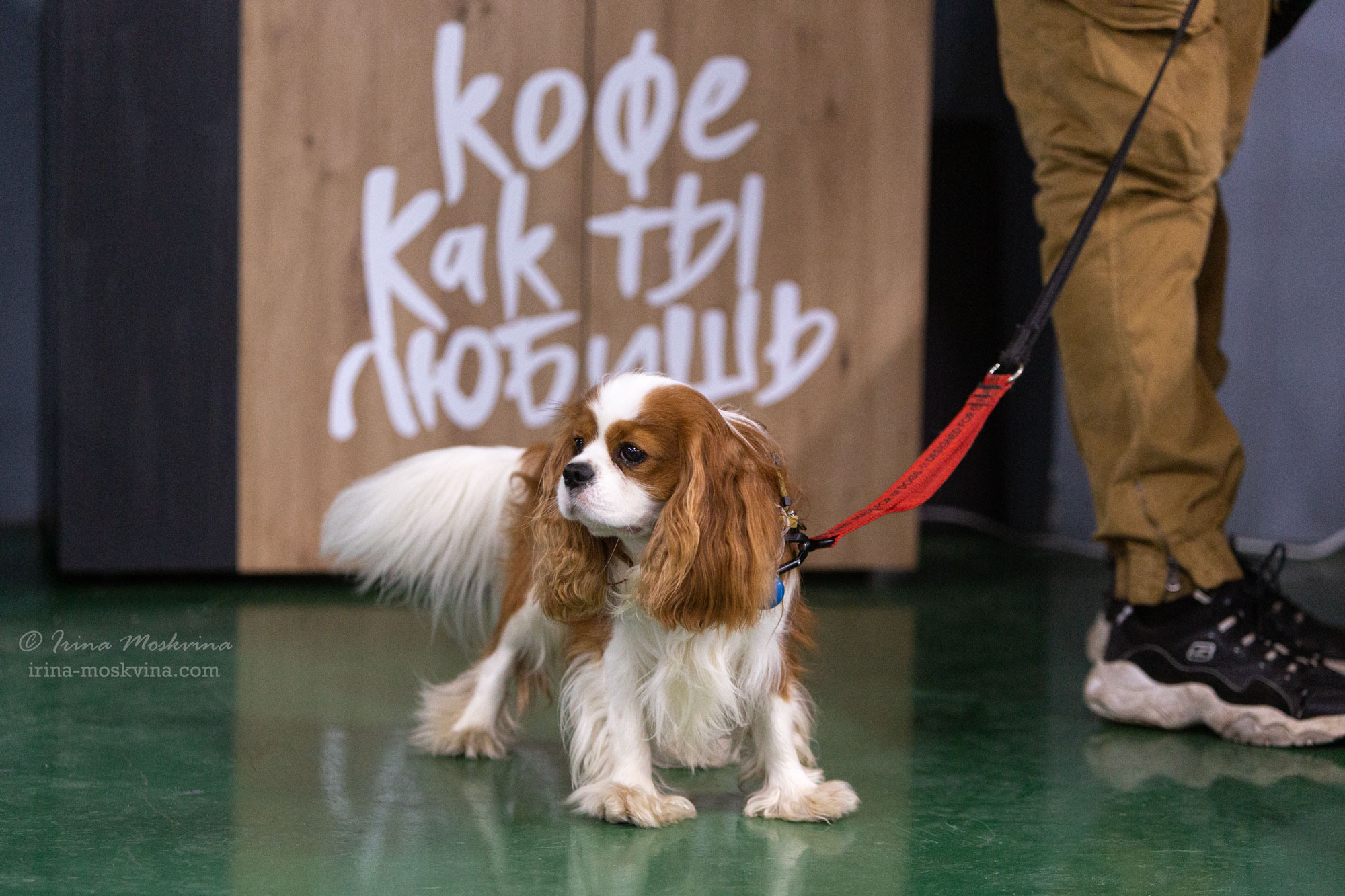 Москва, ВЦ «Сфера» | САС | 01.07.23. Ирина Москвина | фотограф | Москва