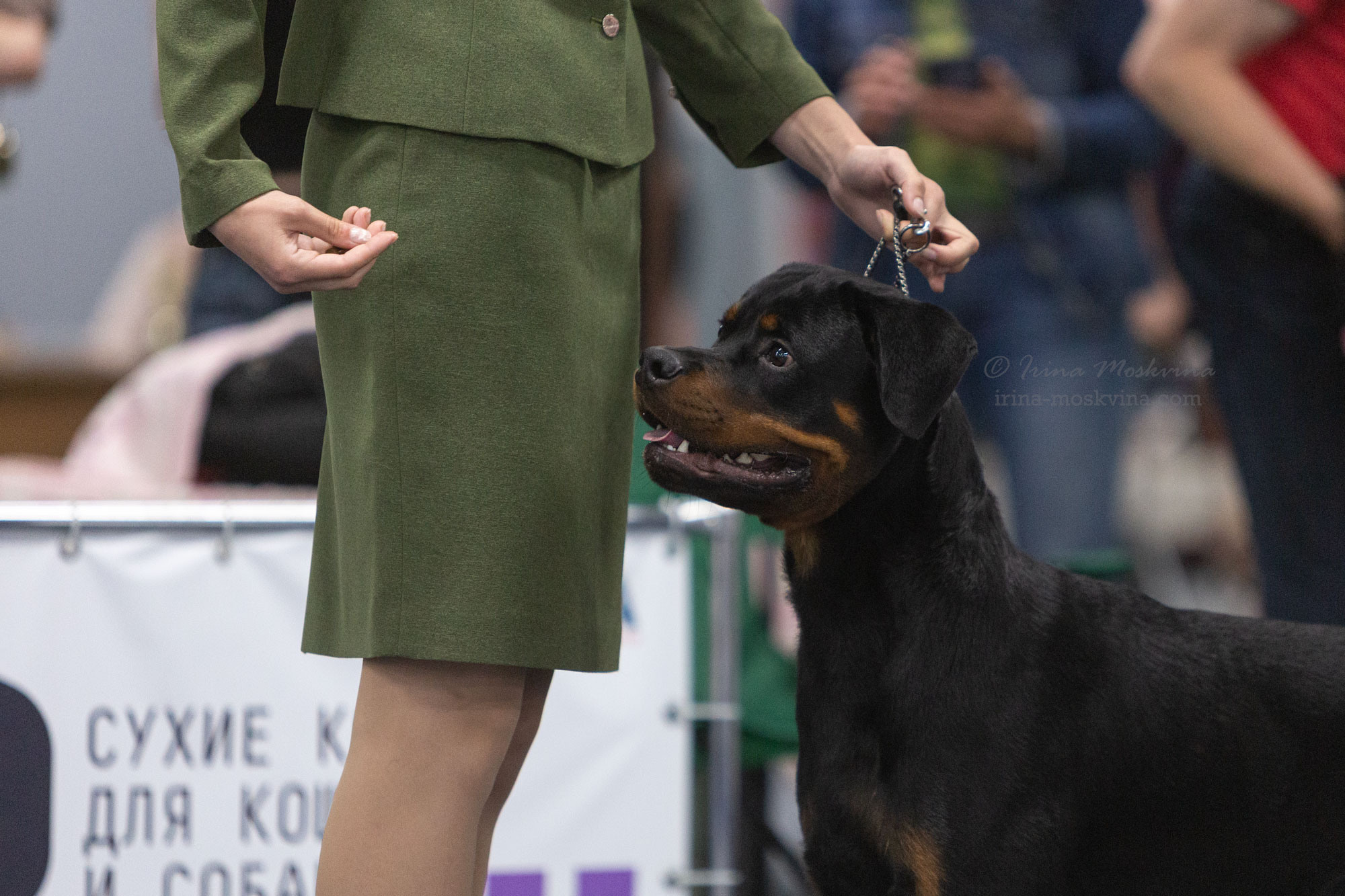 Москва, ВЦ «Сфера» | САС | 02.07.23. Ирина Москвина | фотограф | Москва