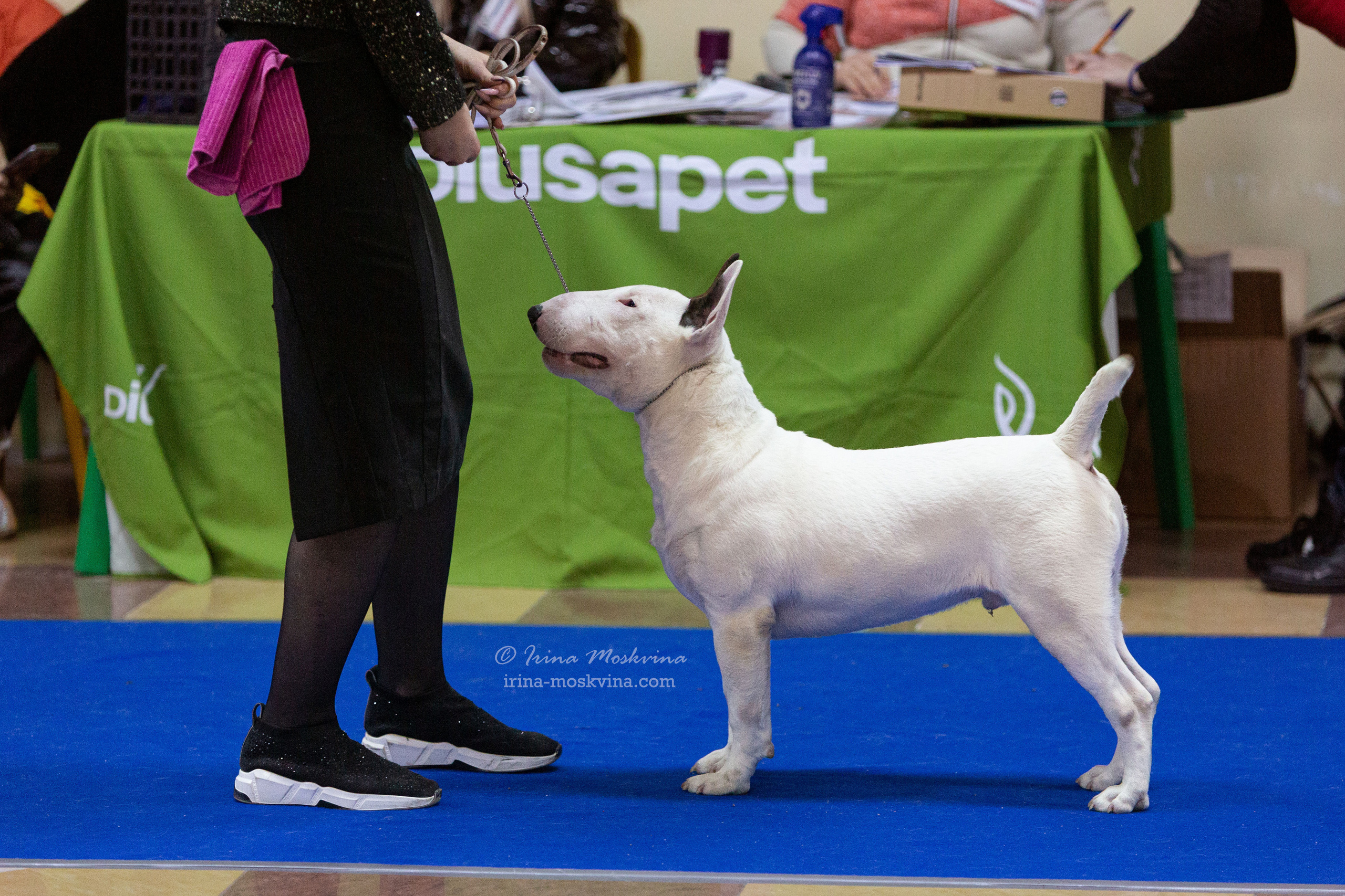 Белгород | САС | 29.01.22. Ирина Москвина | фотограф | Москва