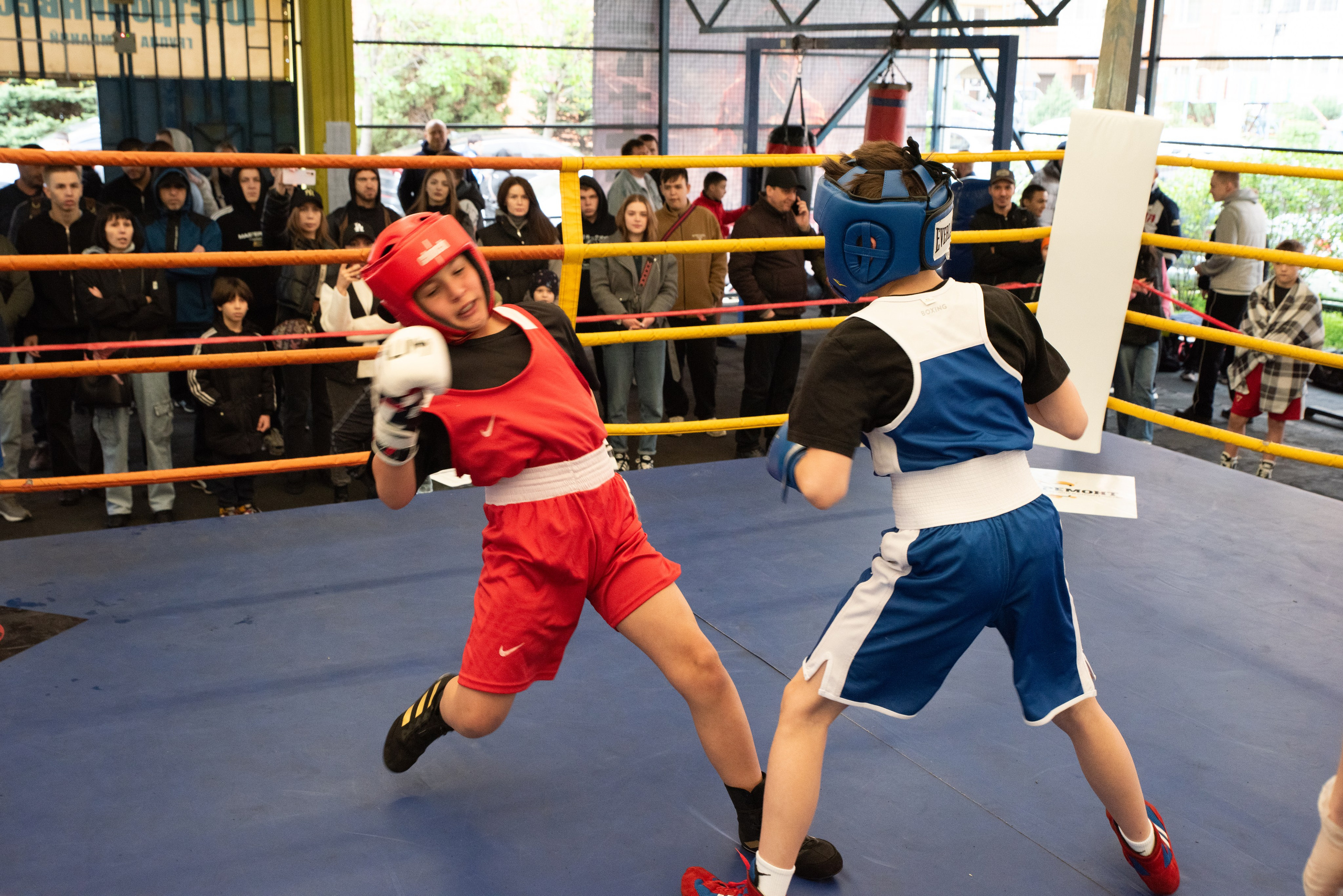 Соревнования GO FIGHT. Фотограф в Краснодаре Анна Карелина