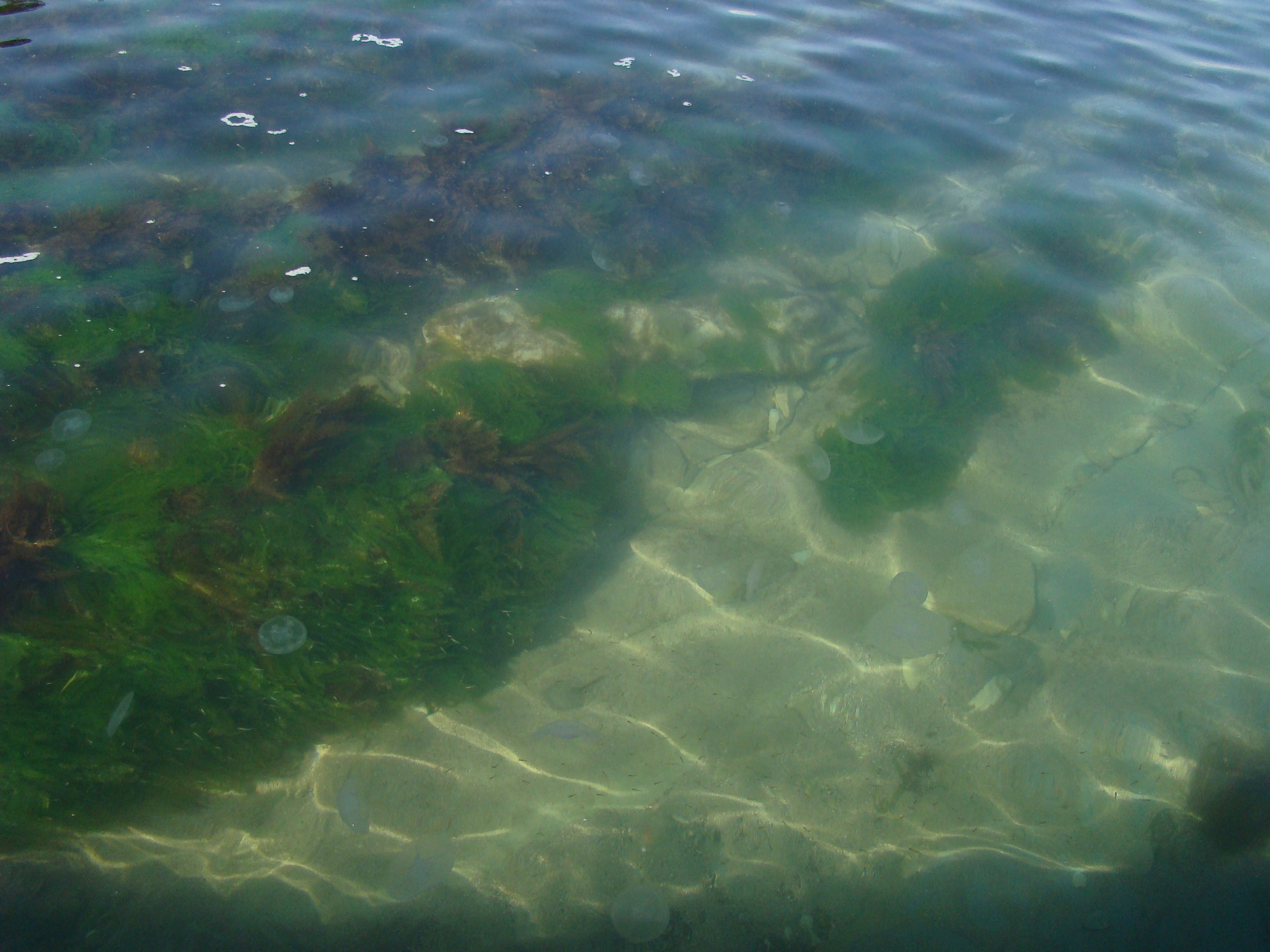 Кабардинка (фото Зевиных) 25.06-24.07.2008. Семейный, Свадебный фотограф СПБ Питер— Романова Екатерина