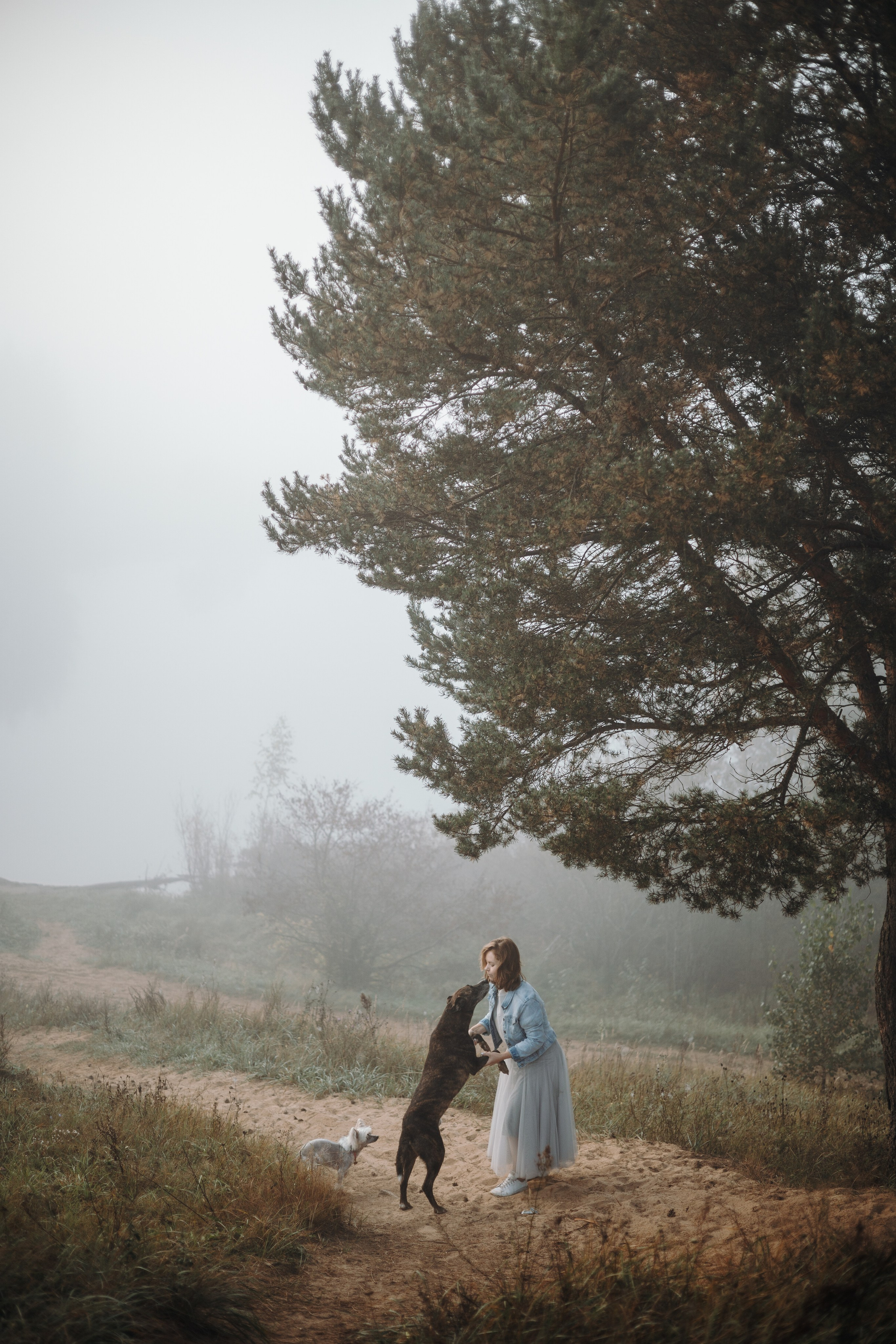 Любовь и ее хвостики. Фотограф — Анималист | Санкт-Петербург