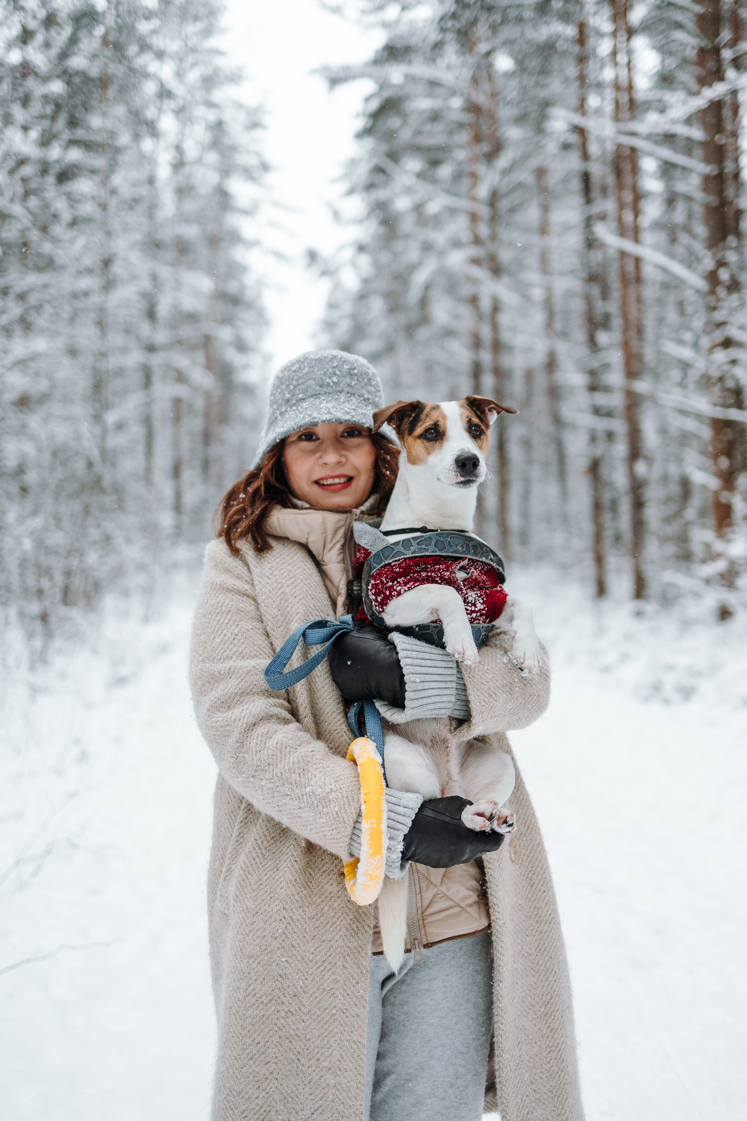 Мики и его семья. Фотограф — Анималист | Санкт-Петербург