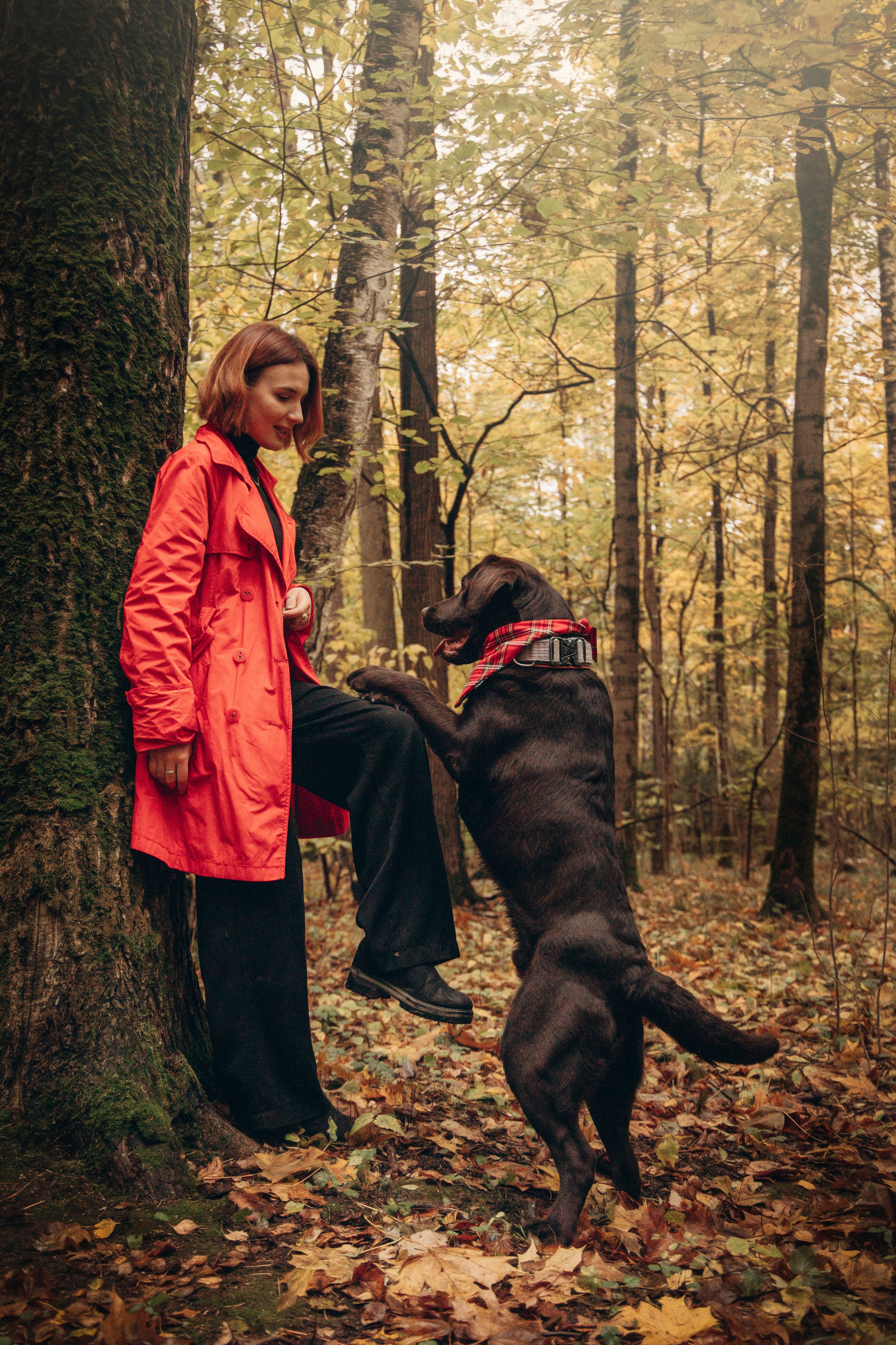 Арина и Сэмми. Фотограф — Анималист | Санкт-Петербург