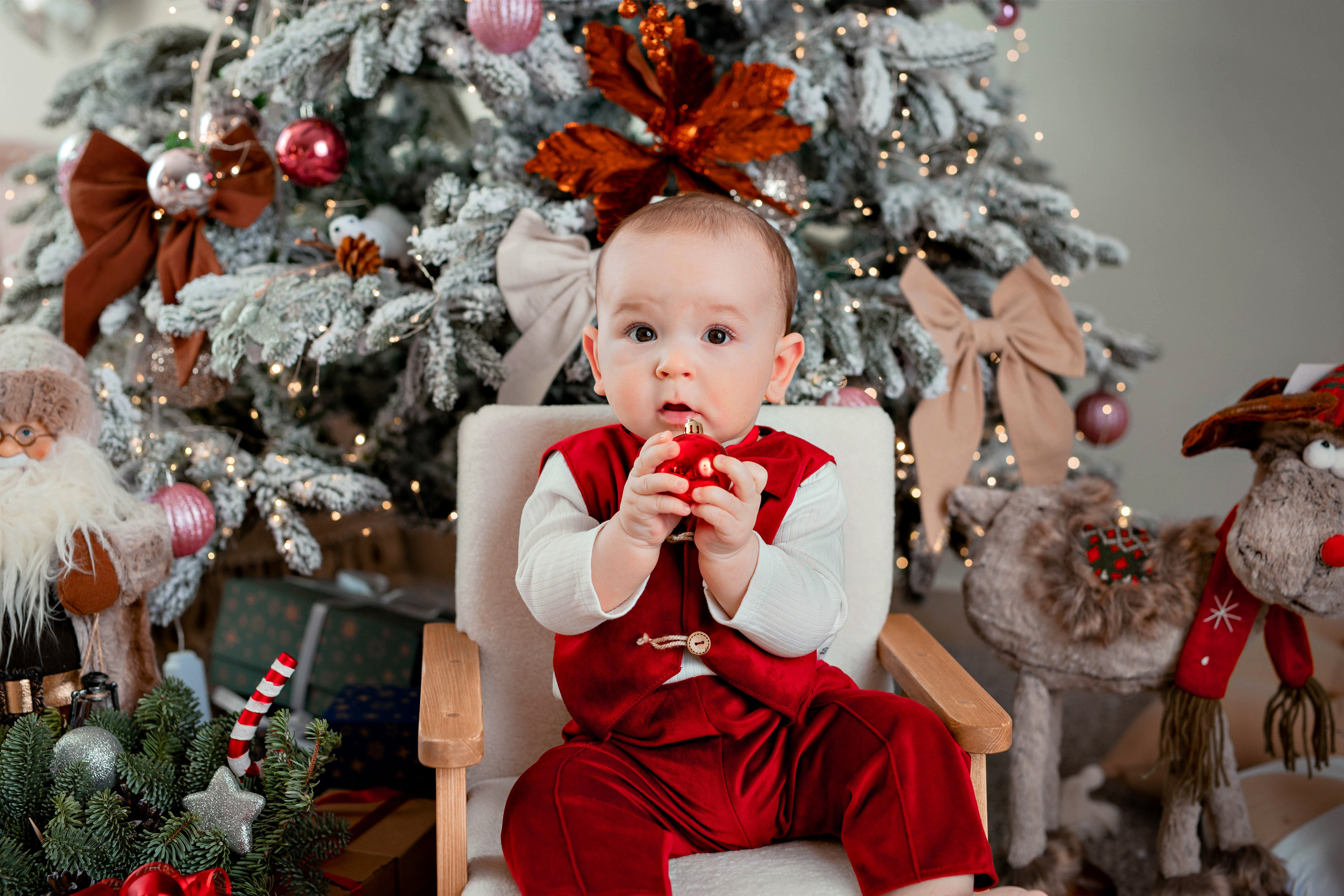 Новый год. Фотограф Болотова Иветта