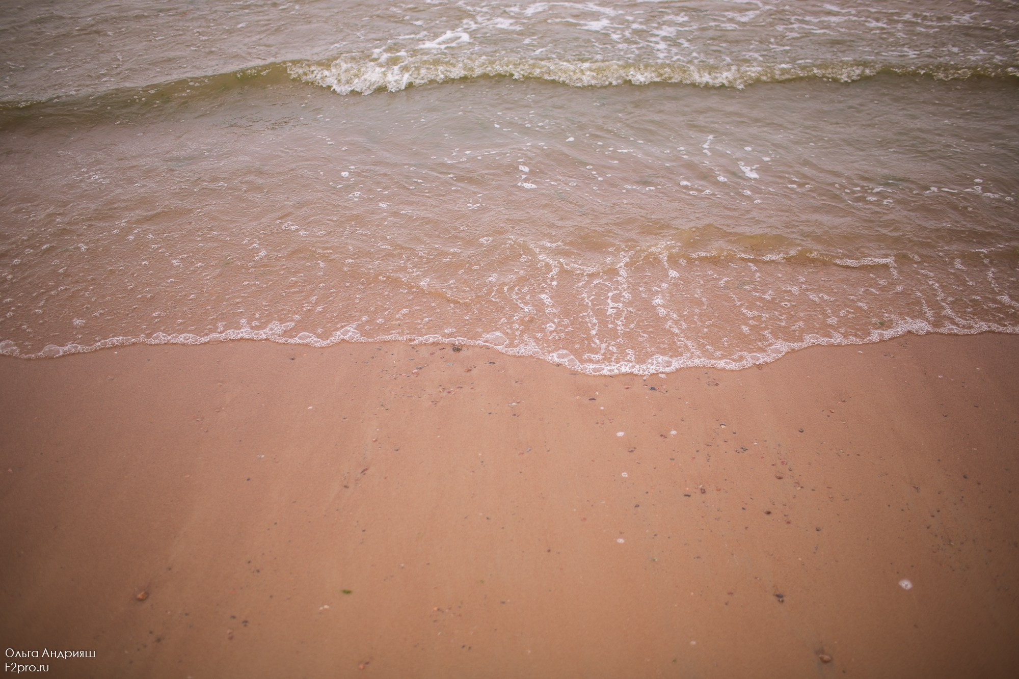 Нежность. Семейный, портретный и свадебный фотограф в Санкт-Петербурге и Москве