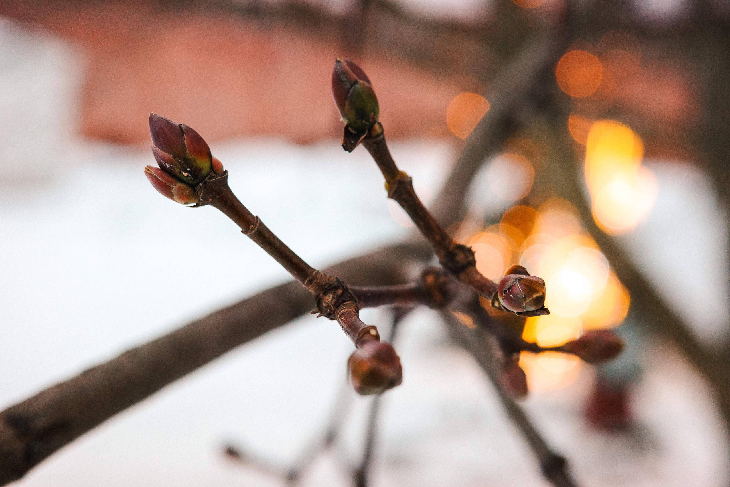 2025.01. Фотограф Алексей Алексеев