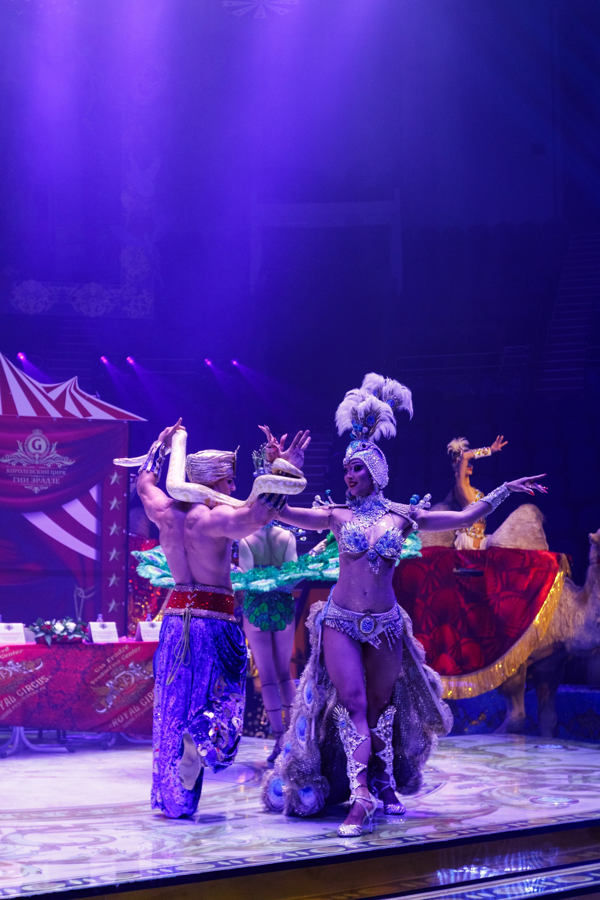 Сочинский росгорцирк Шоу Гии Эрадзе цирк. Профессиональный фотограф в Сочи Виктория Джой. Обучение