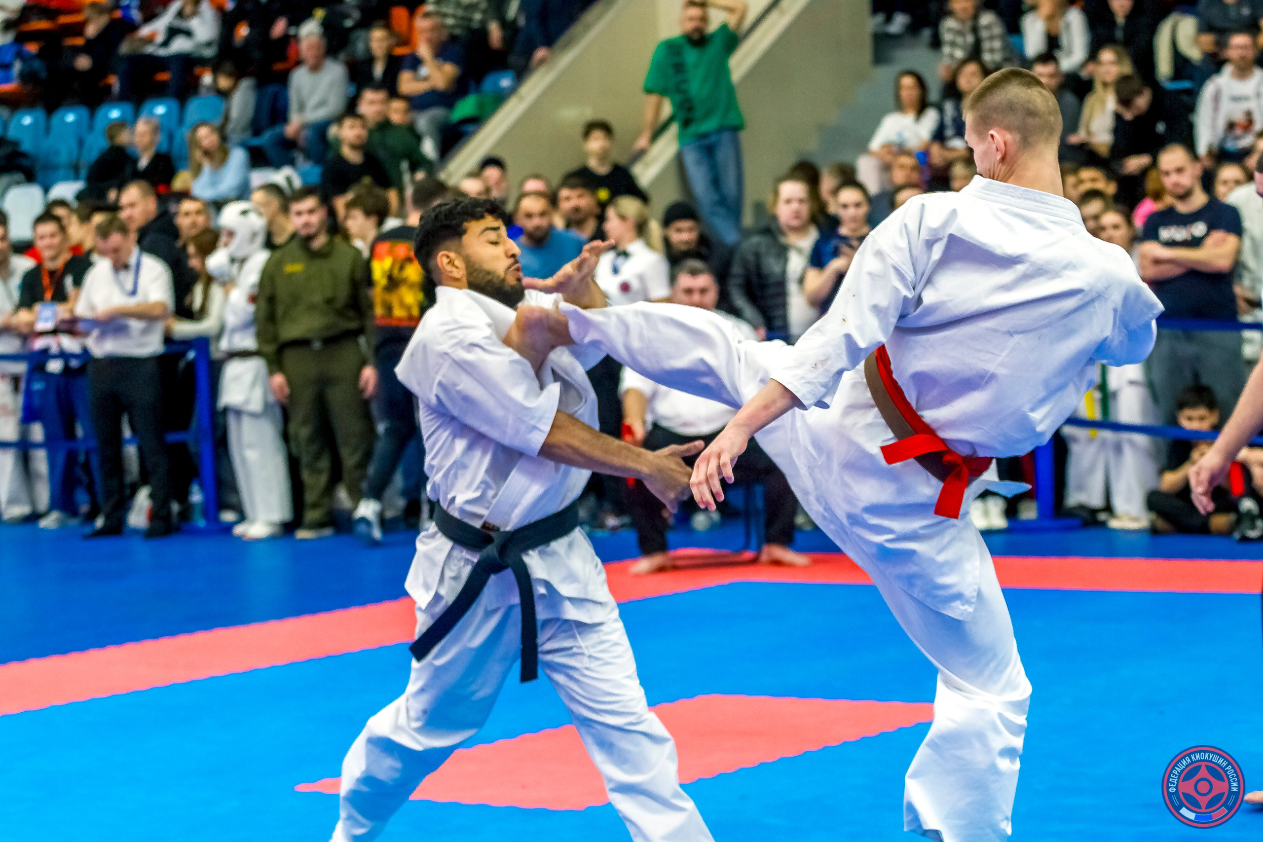 Международный турнир по киокушин «Открытый кубок Seiken». Репортажная съемка в Москве и области. Анималистика