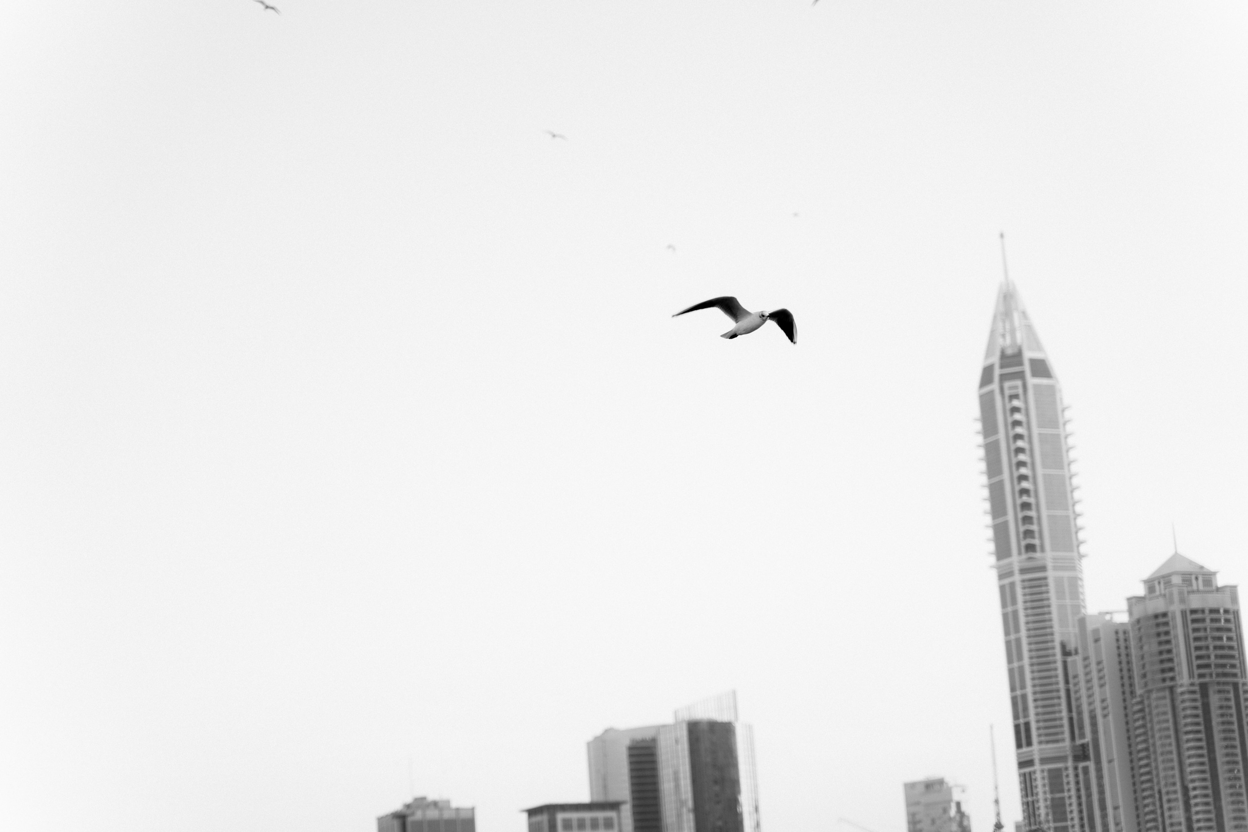 Dubai Yacht Wedding. Свадебный фотограф Корощенко Екатерина