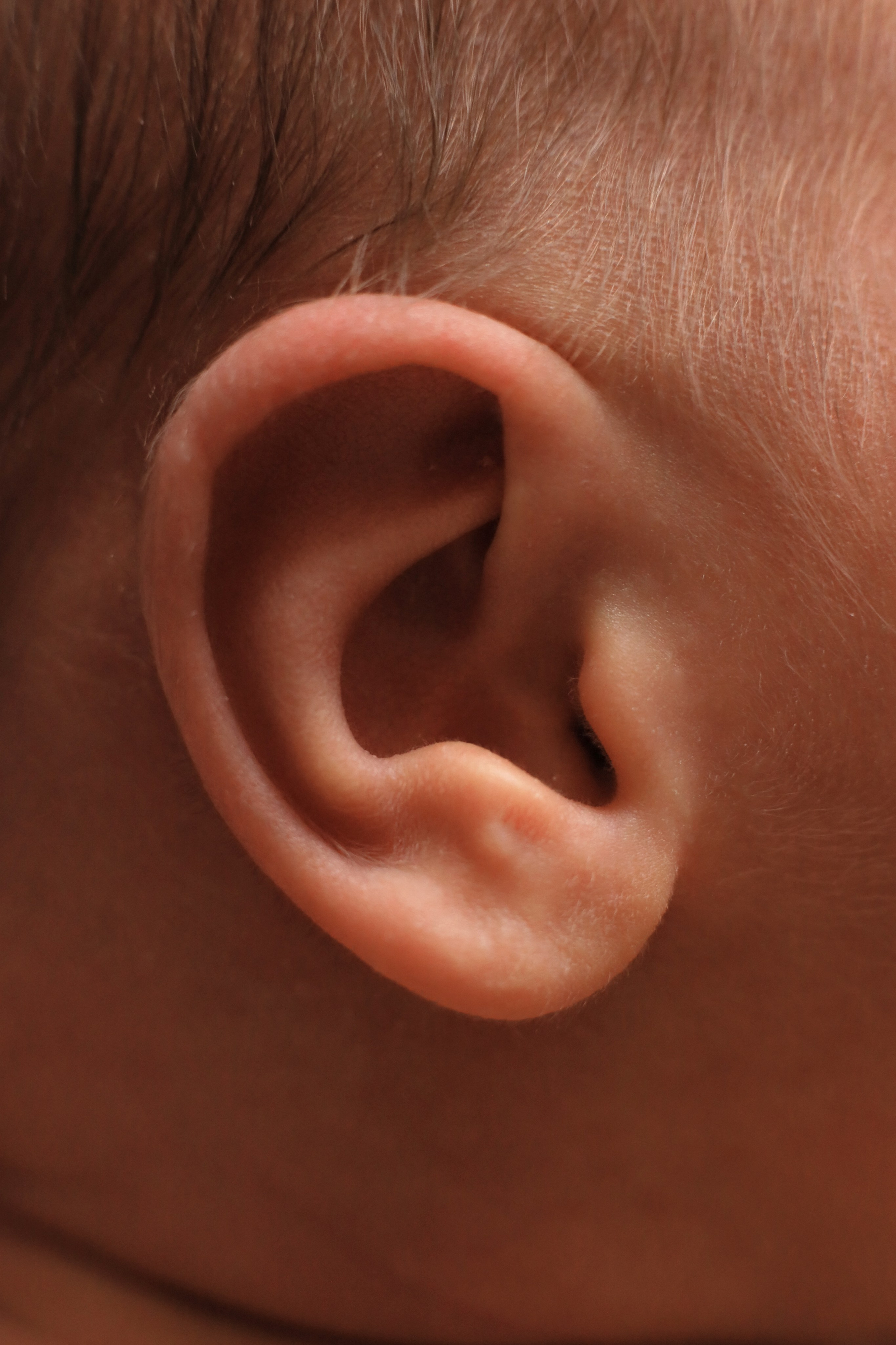 Глеб 11 дней. Семейный фотограф и фотограф новорожденных в Санкт-Петербурге Алина Фе