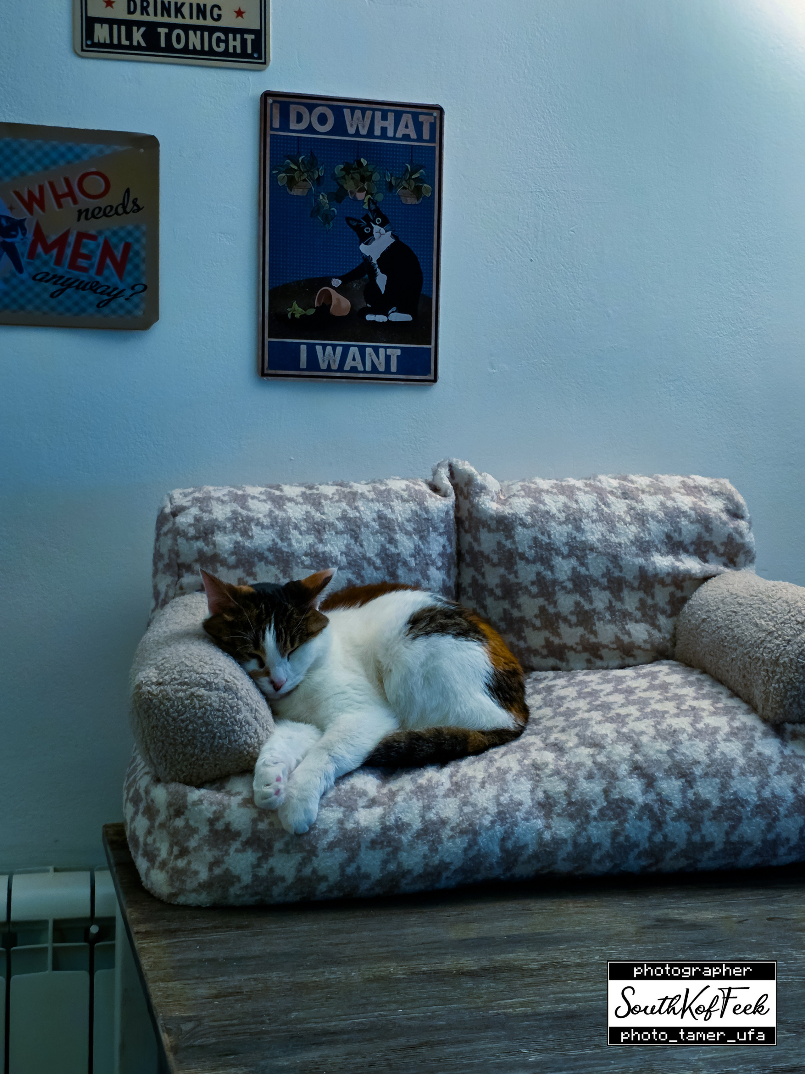 Фотосессии животных. Photo Tamer Ufa