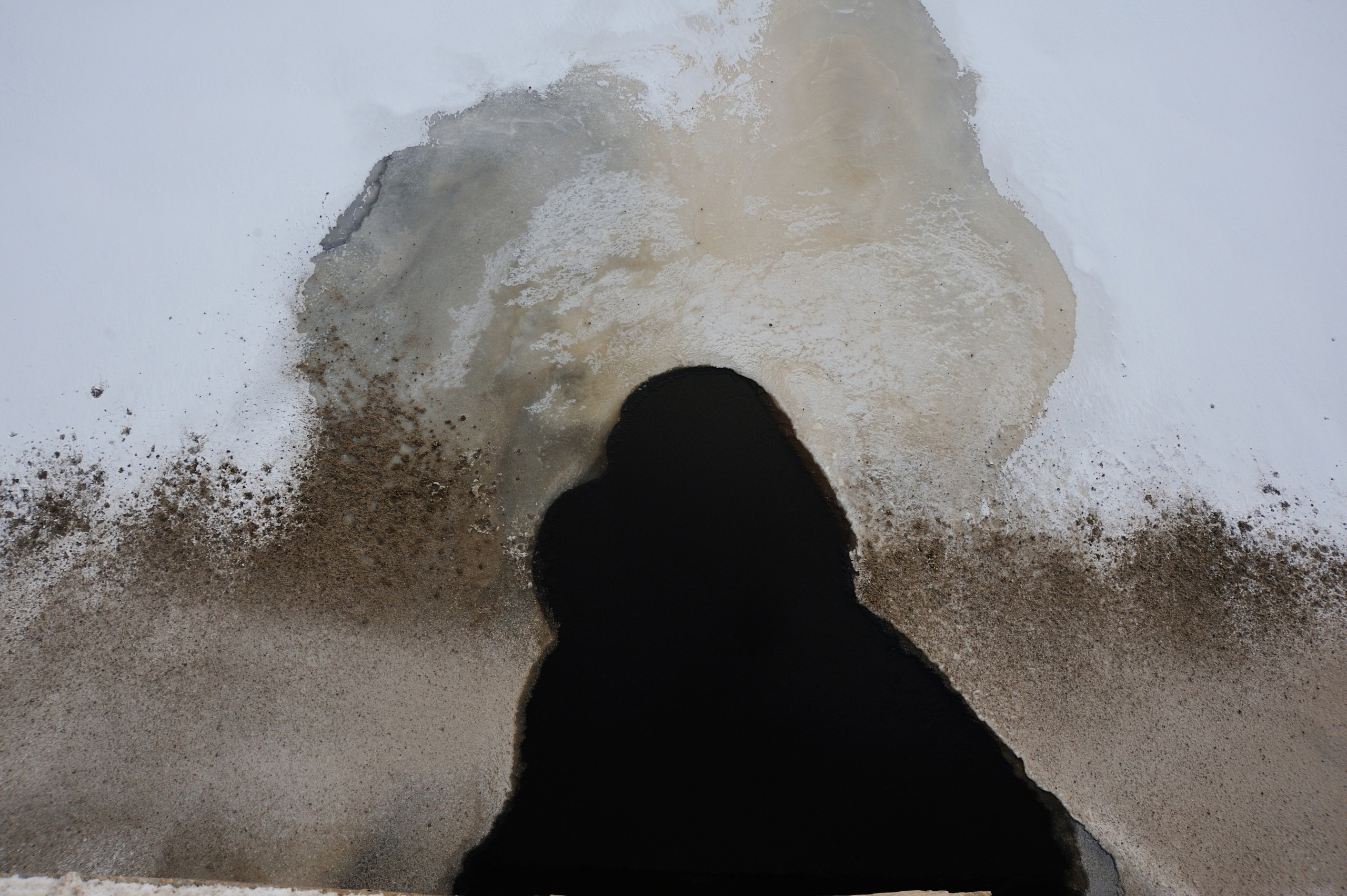 Сказки Севера. Катерина Михеева