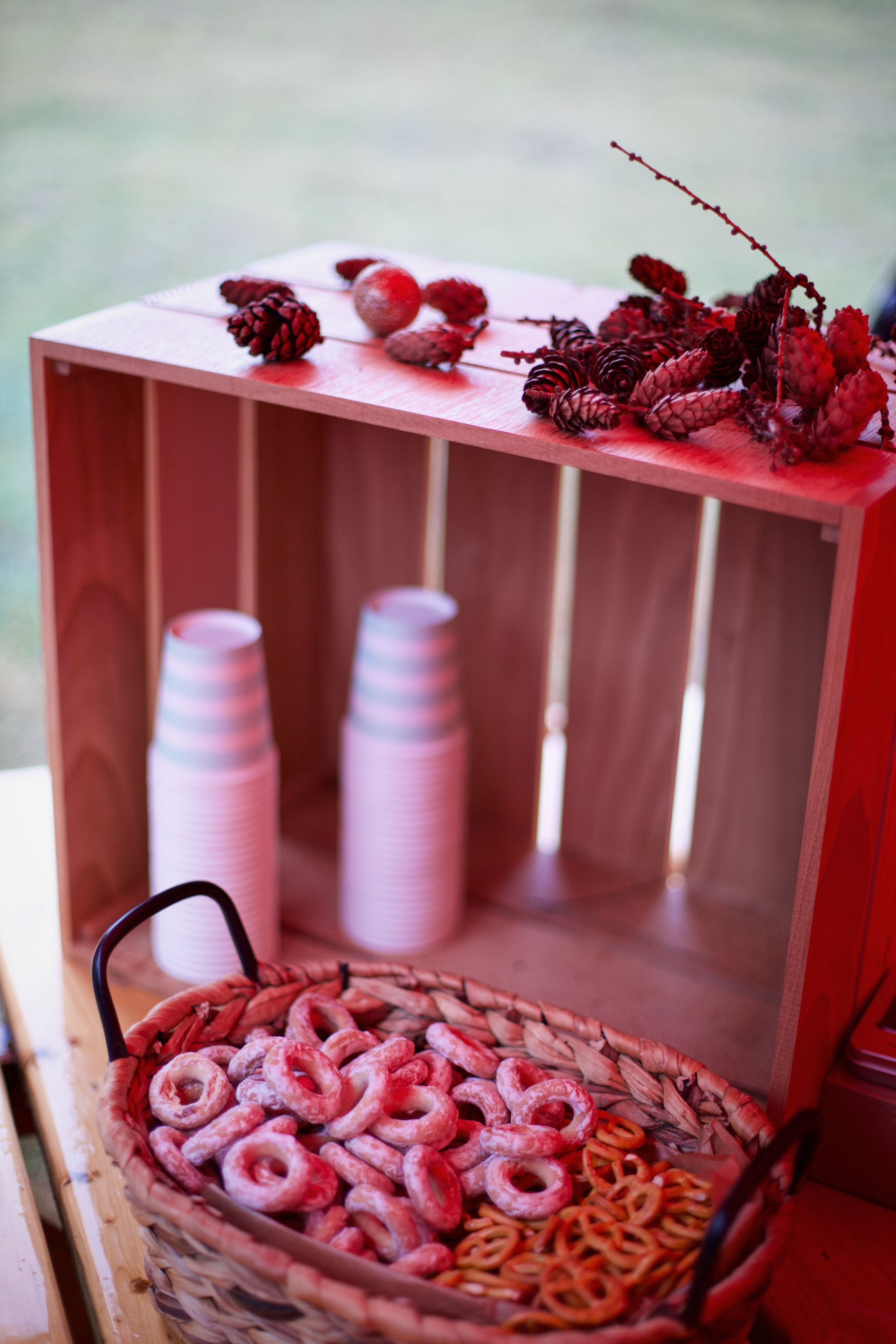 Christmas Tree opening in Dilijan city park. Фотограф в Армении Женя Гилевич