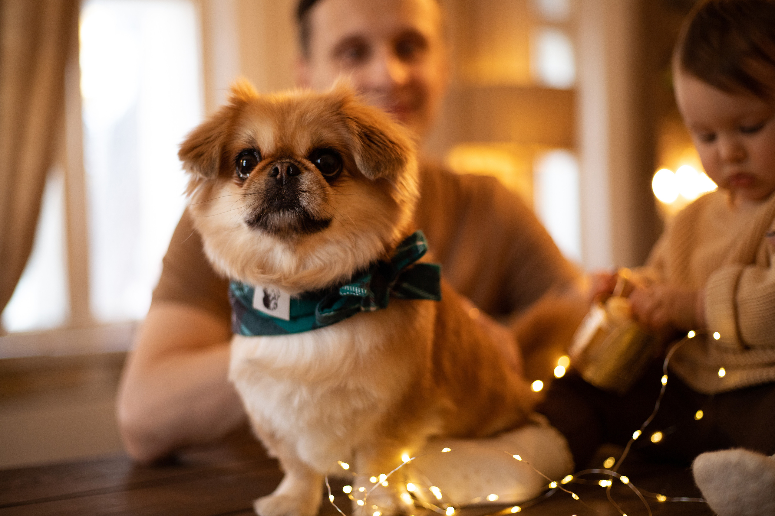 Семейная фотосъёмка. Атмосферная фотосъёмка в Омске!