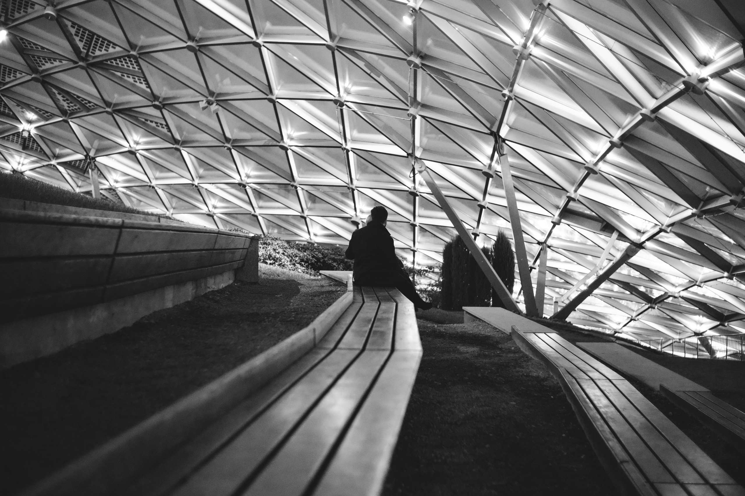 Пара сидит на крыше концертного зала в зарядье под сводом купола