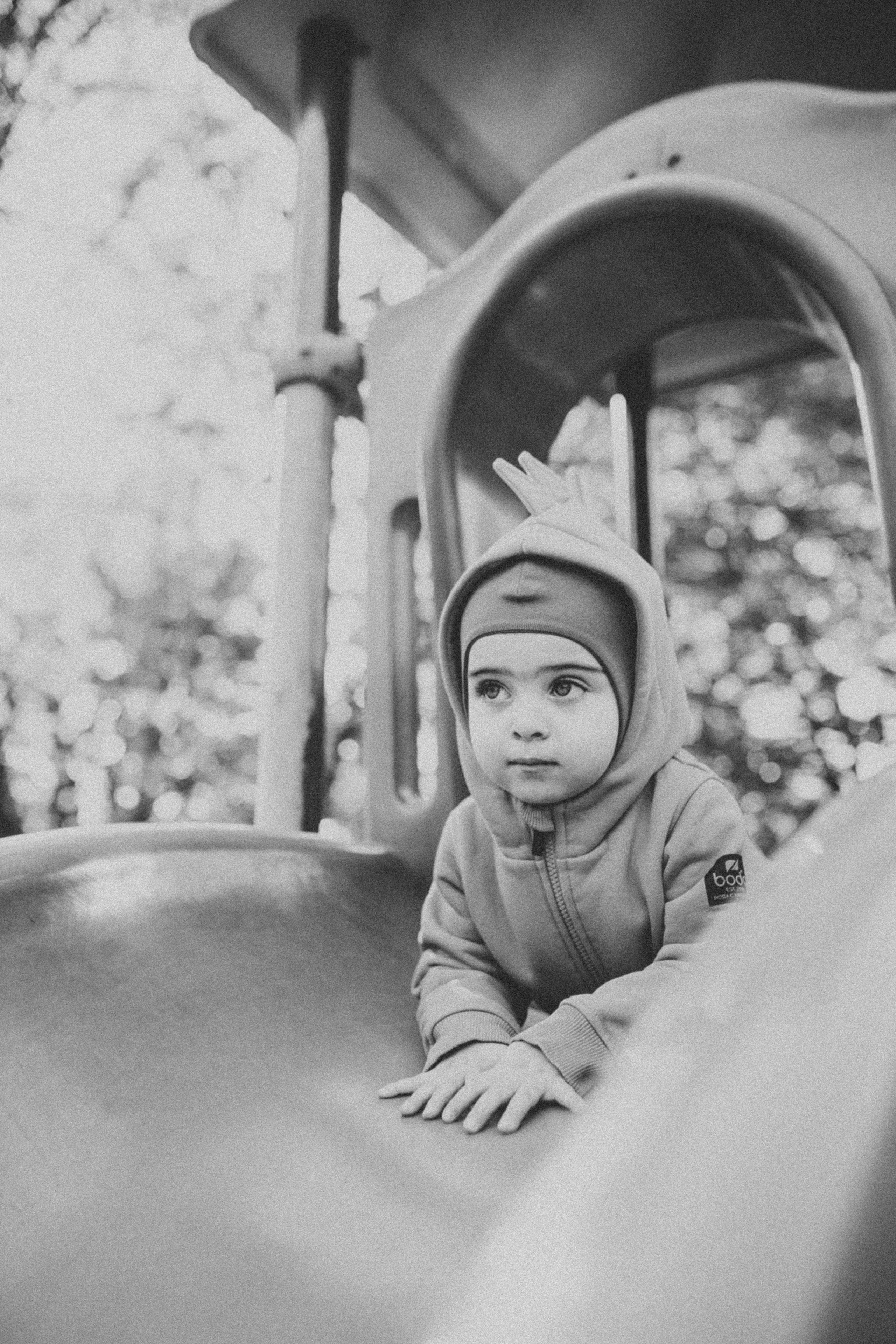 КОГДА ДЕРЕВЬЯ БЫЛИ БОЛЬШИМИ. Фотограф Лебедева Наталья