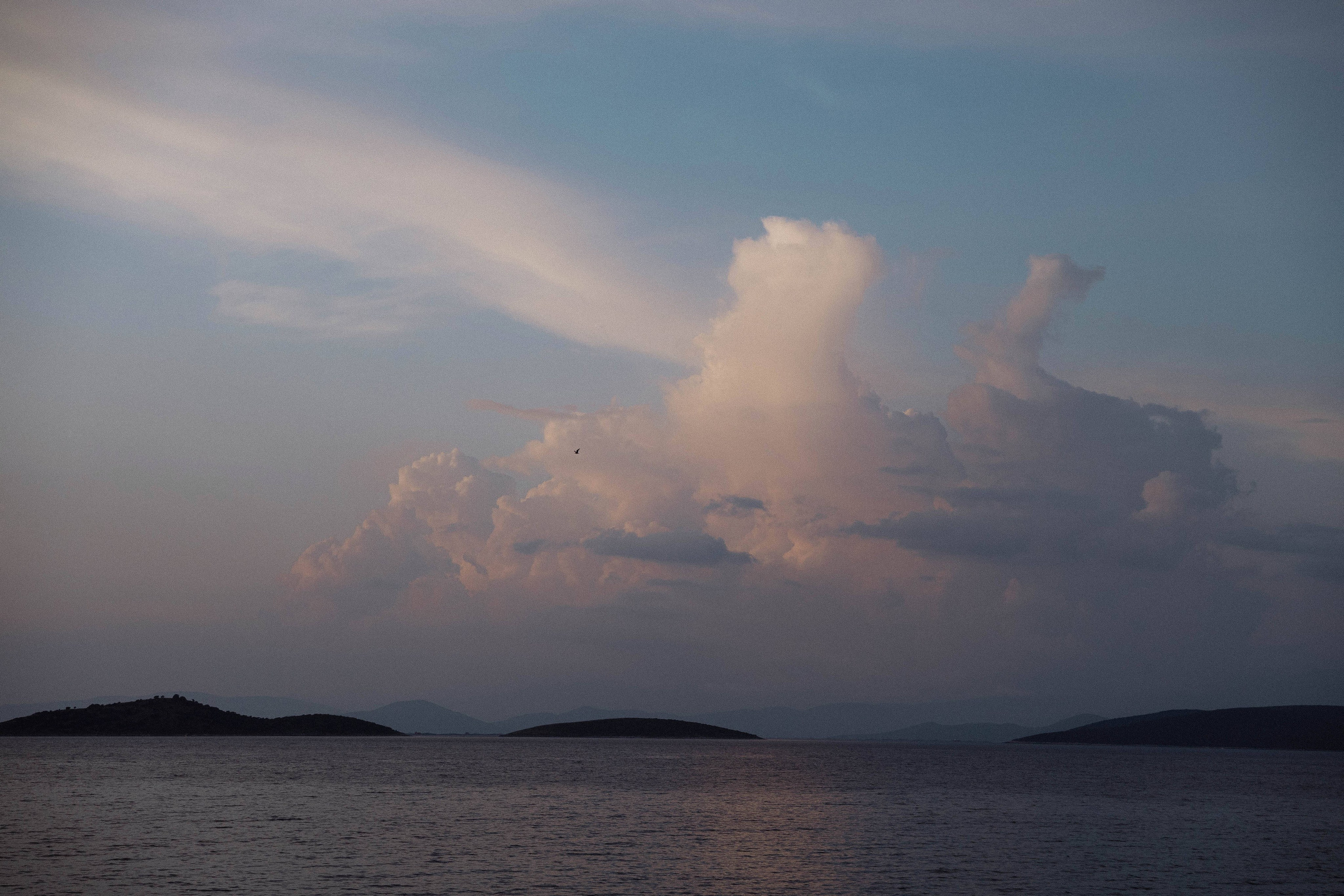 Wedding_Diana+Ivan. About