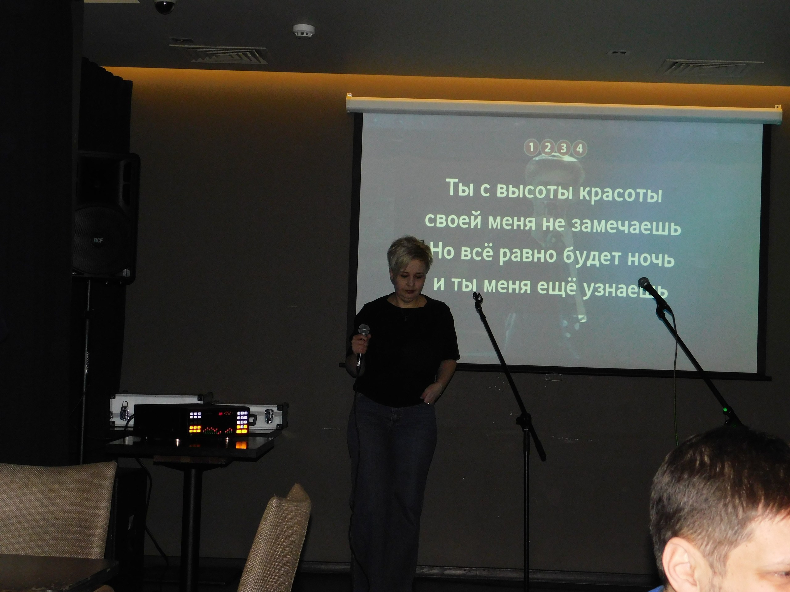 Караоке | 08.02.2020. Галерея Фантим