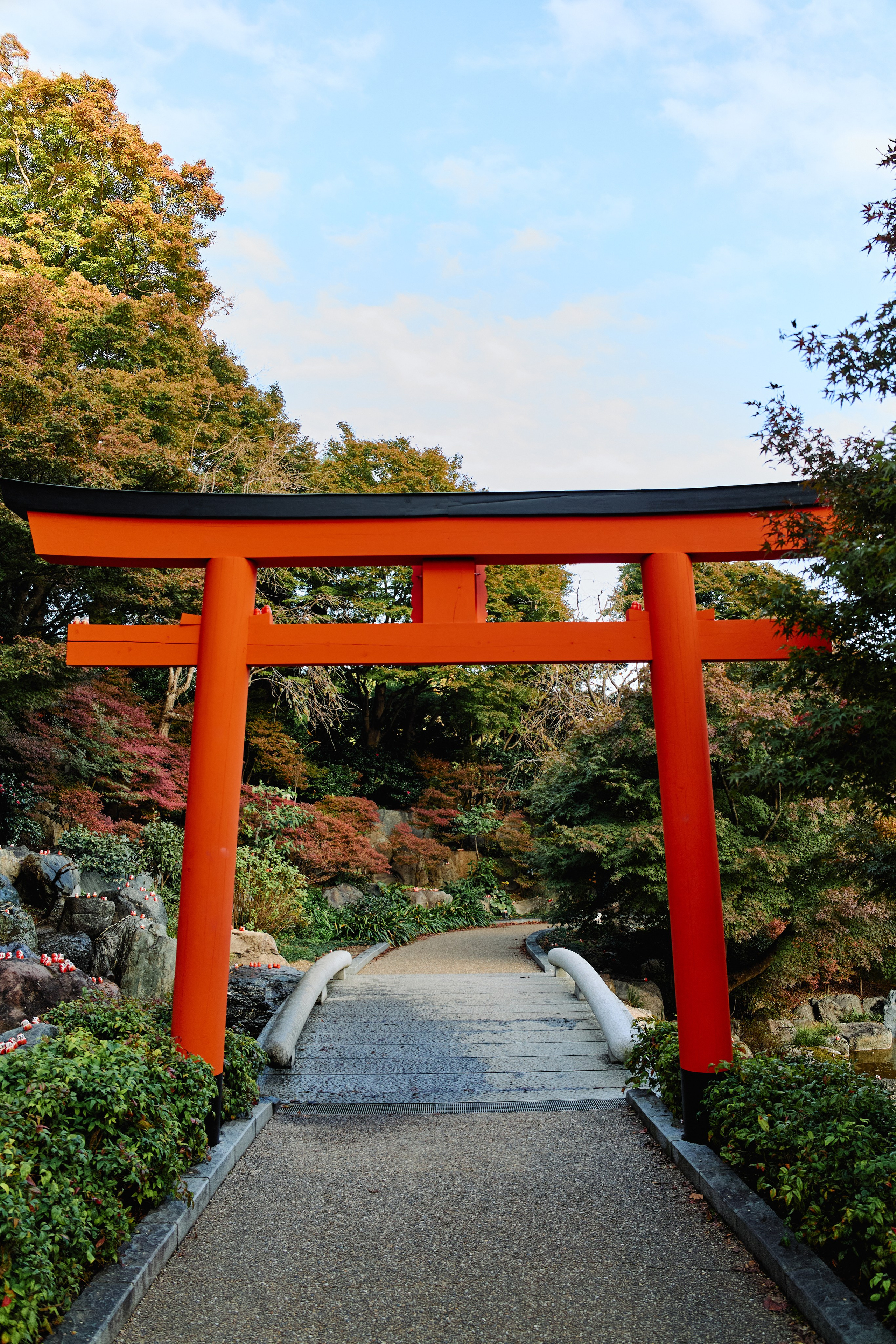 Япония. Профессиональный Фотограф во Владимире, в Москве и в Суздале — Полина Романычева