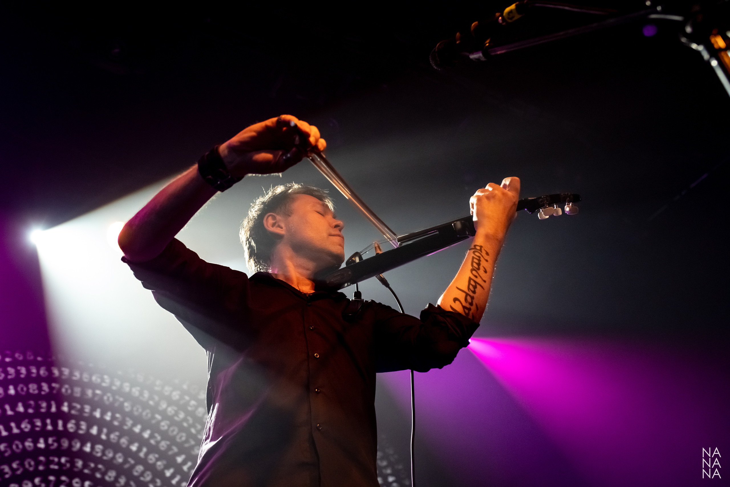 ТОРБА-НА-КРУЧЕ. Фотограф Елена Богачева (lenalena_na_na_na)