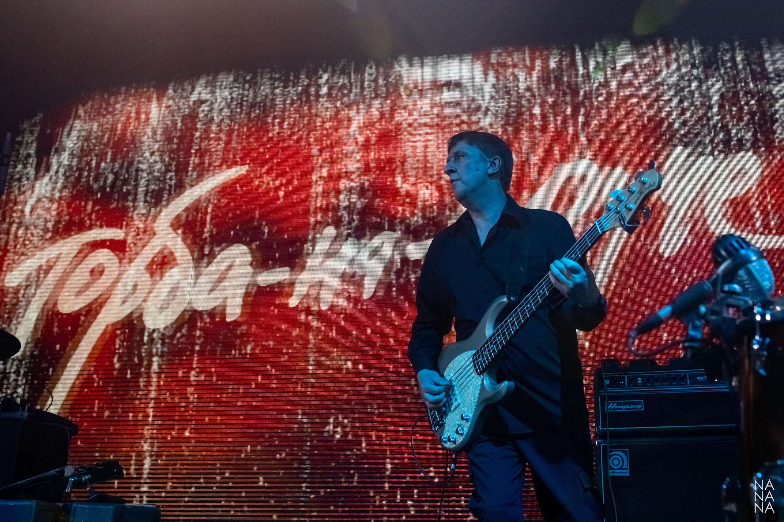 ТОРБА-НА-КРУЧЕ. Фотограф Елена Богачева (lenalena_na_na_na)