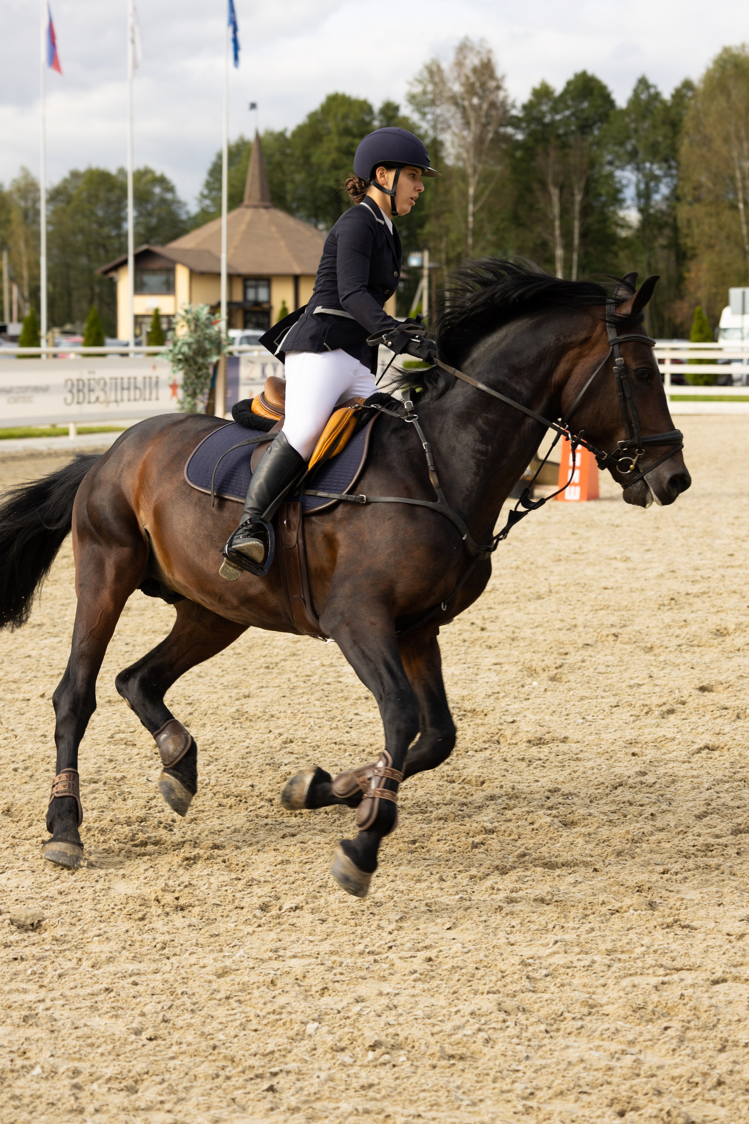 Соревнования по конкуру. Фотограф в Москве Светлана Богначева