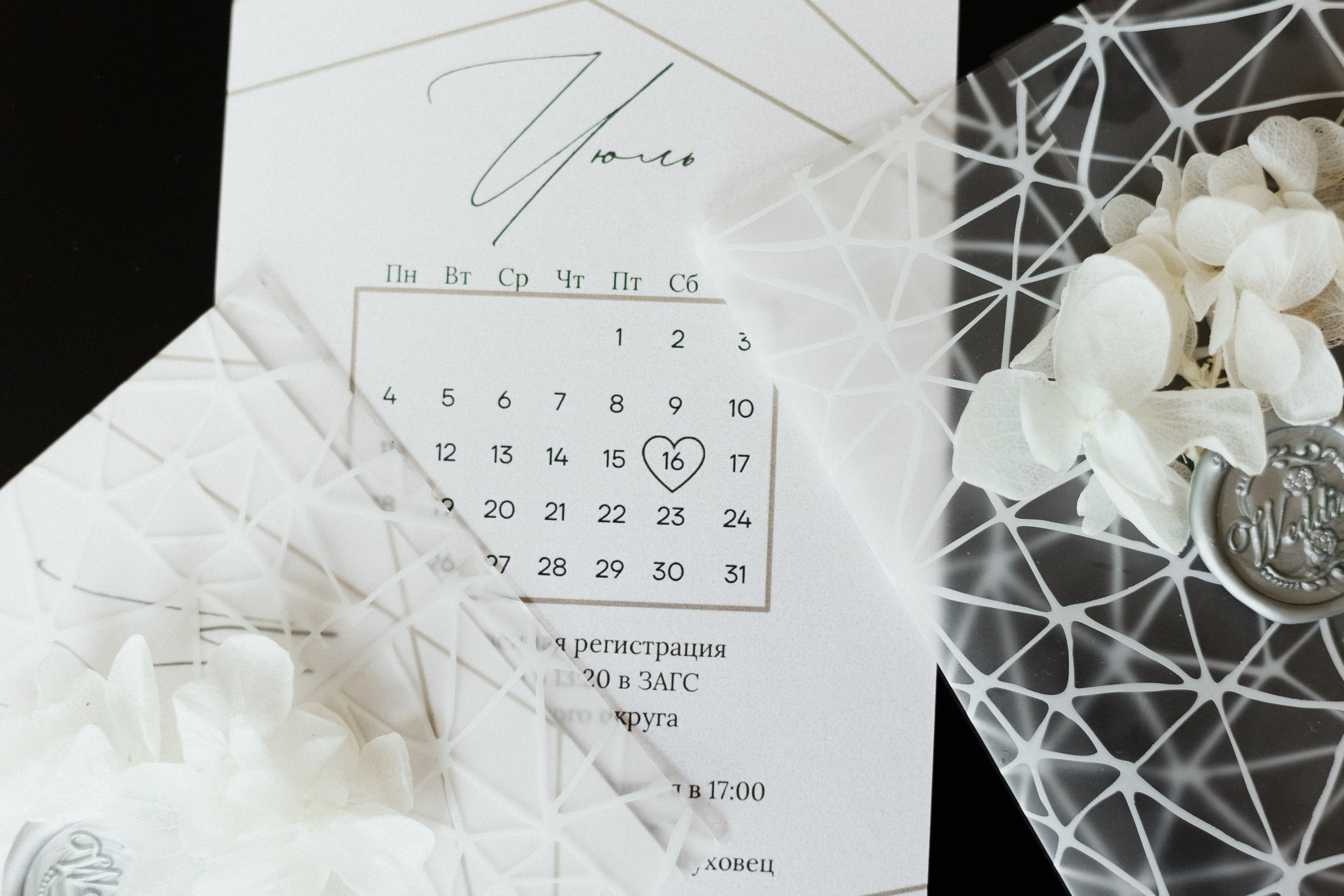 В унисон звучать. Фотограф Приступа Татьяна