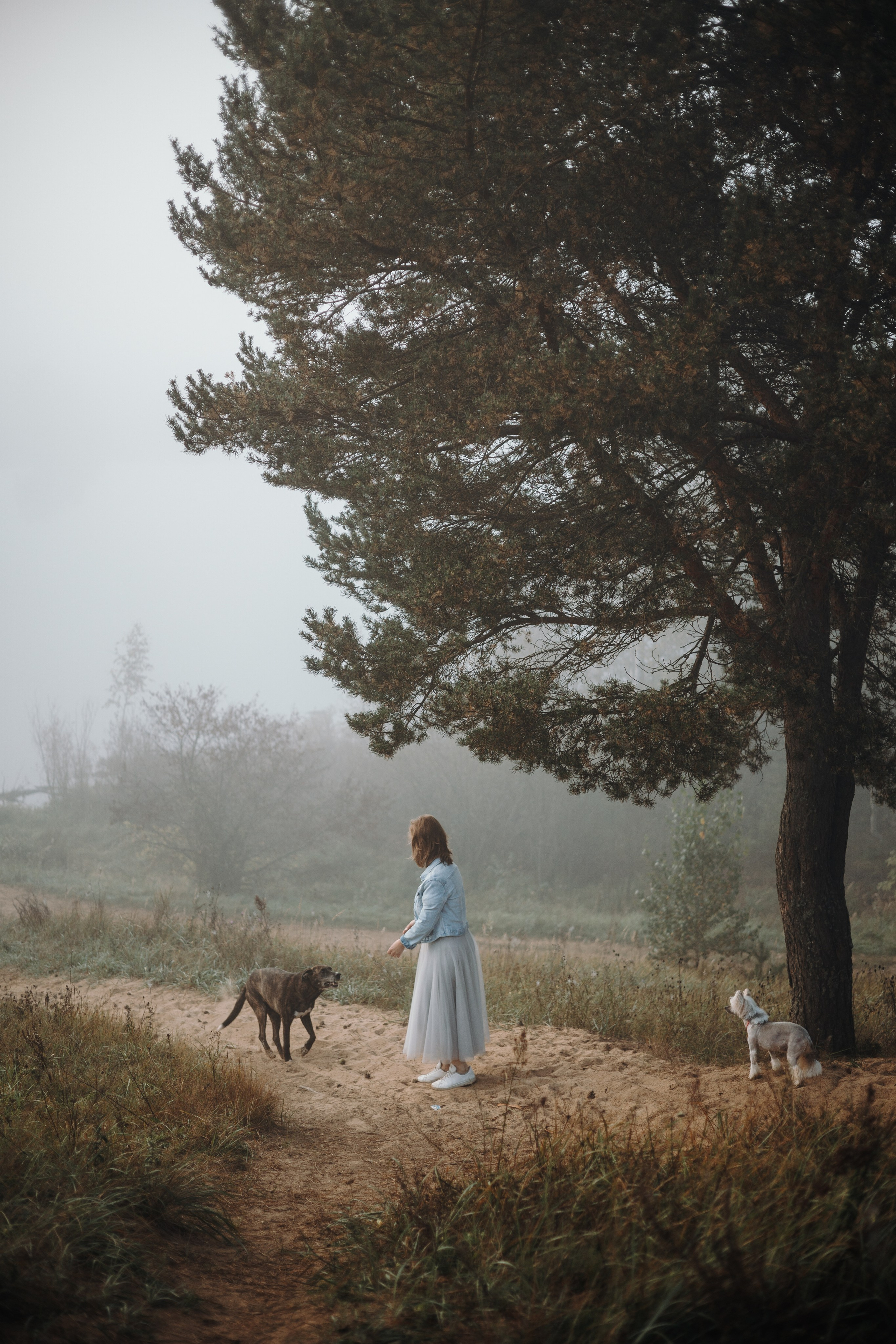 Любовь и ее хвостики. Фотограф — Анималист | Санкт-Петербург