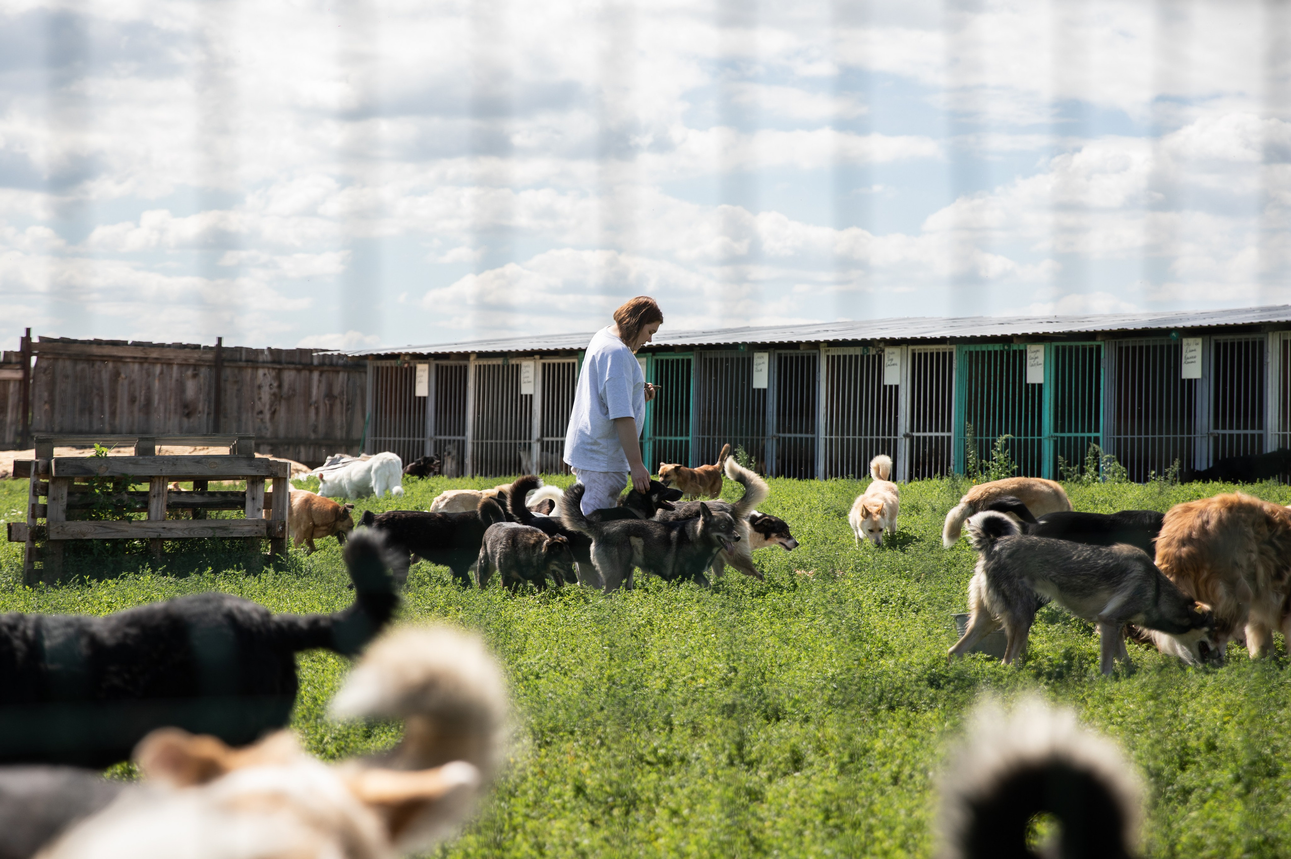 Приют — Наш дом. Репортажный и свадебный фотограф в Челябинске Елисеев Павел
