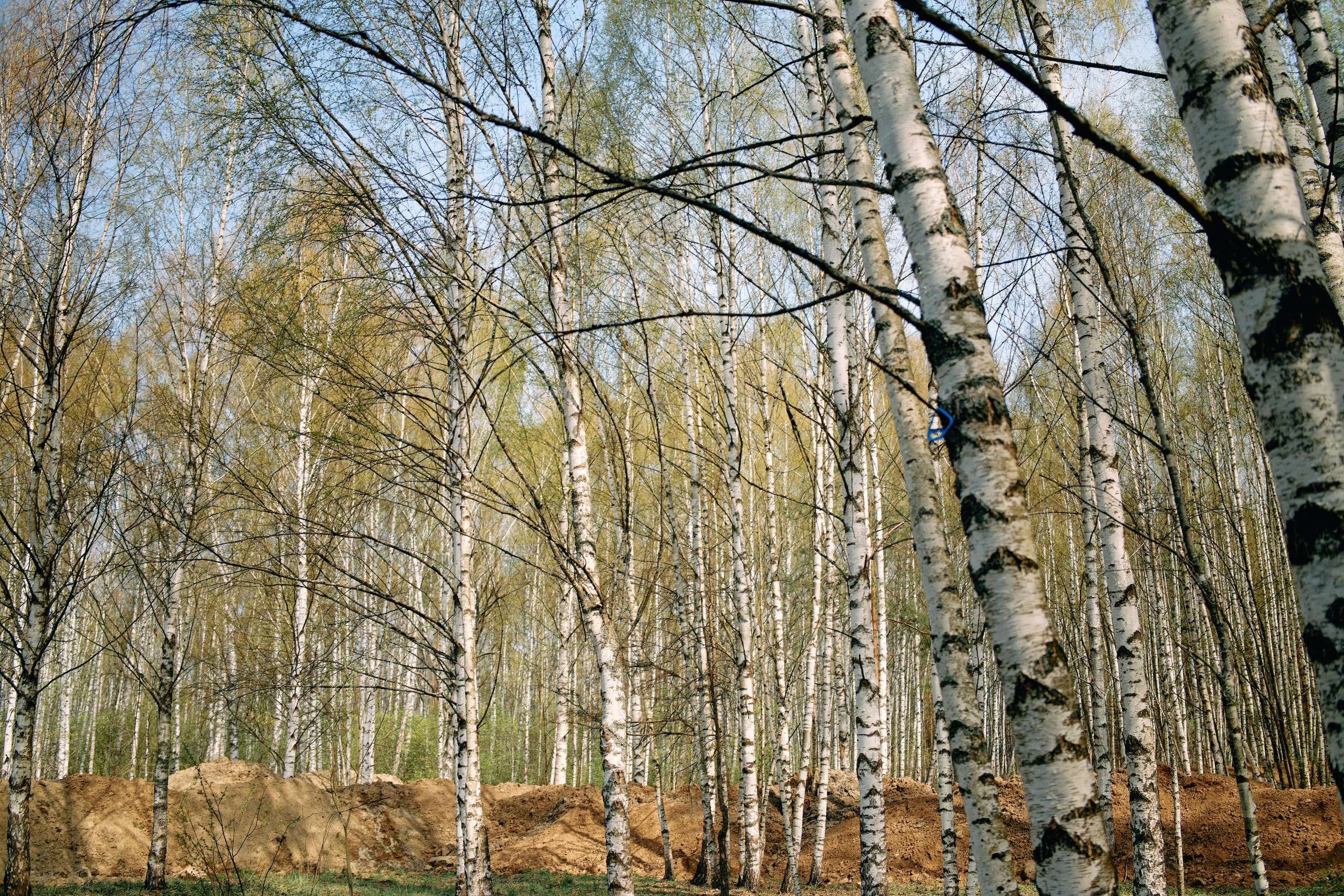 Бутик-отель Поле летом. Профессиональный Фотограф во Владимире, в Москве и в Суздале — Полина Романычева