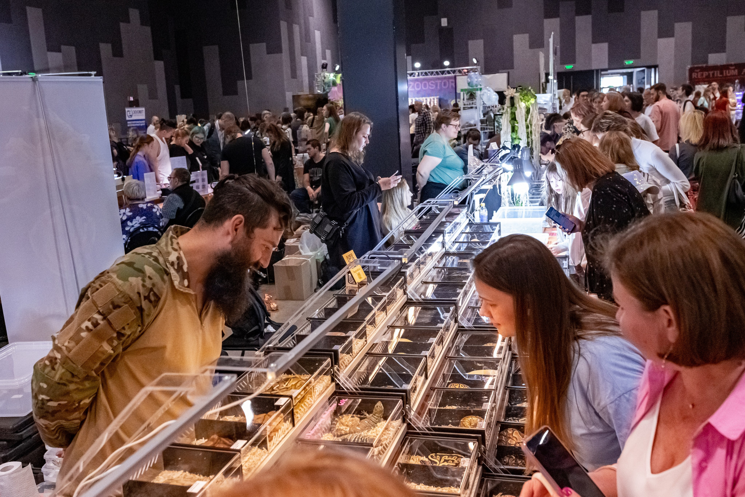 Рептилиум 2024. Александра Куликова фотограф, Москва