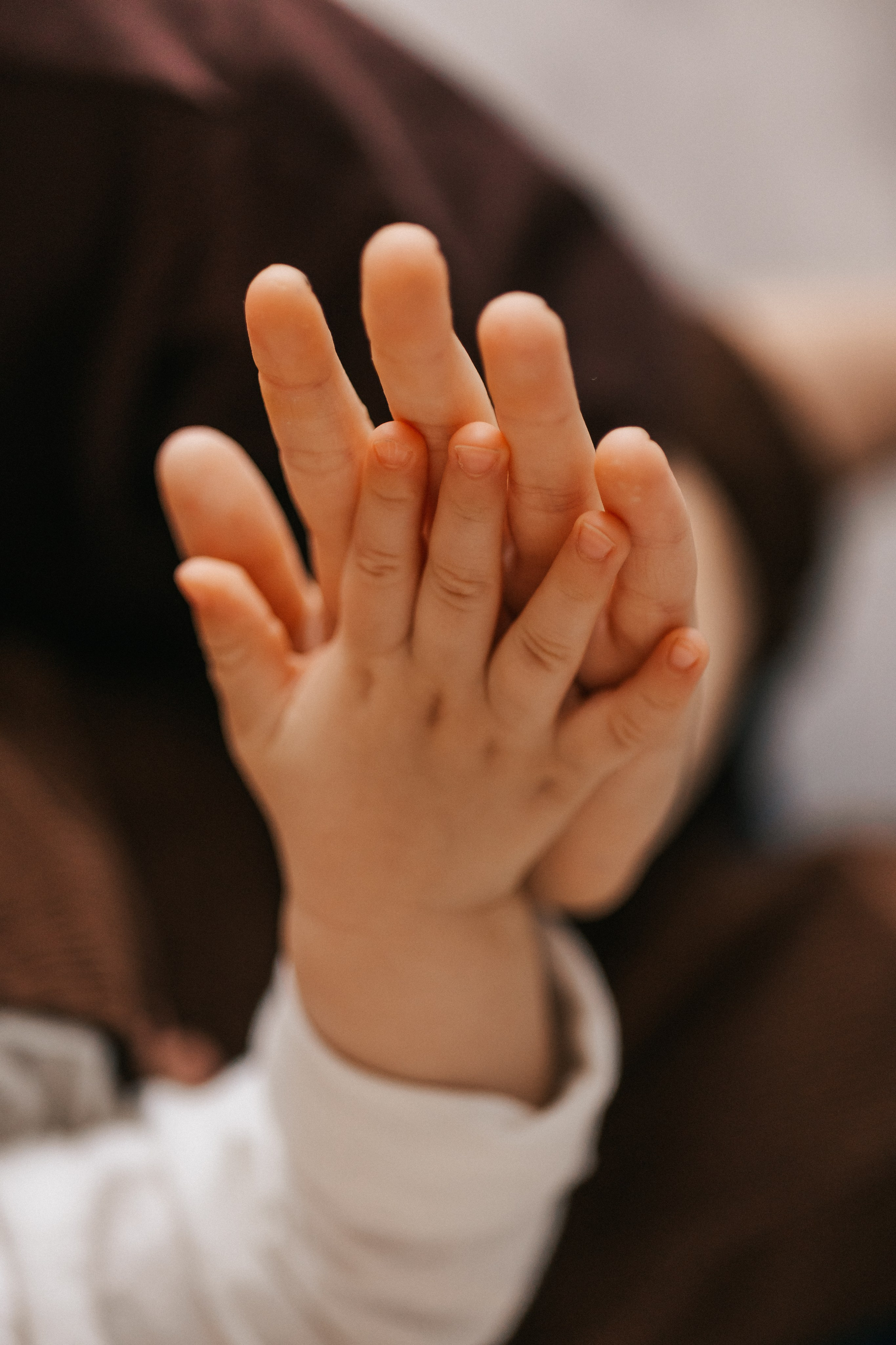 Льву 1 годик. Фотограф Нижний Новгород