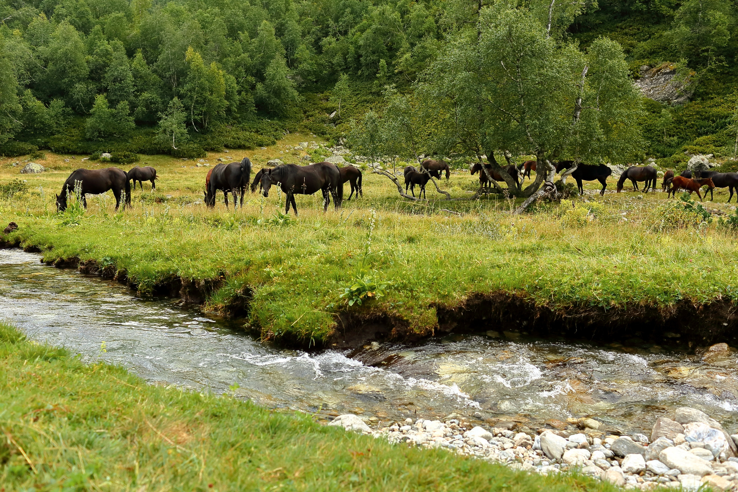 Кавказ. Свадебный и репортажный фотограф в Ярославле и Санкт-Петербурге Роман Микрюков