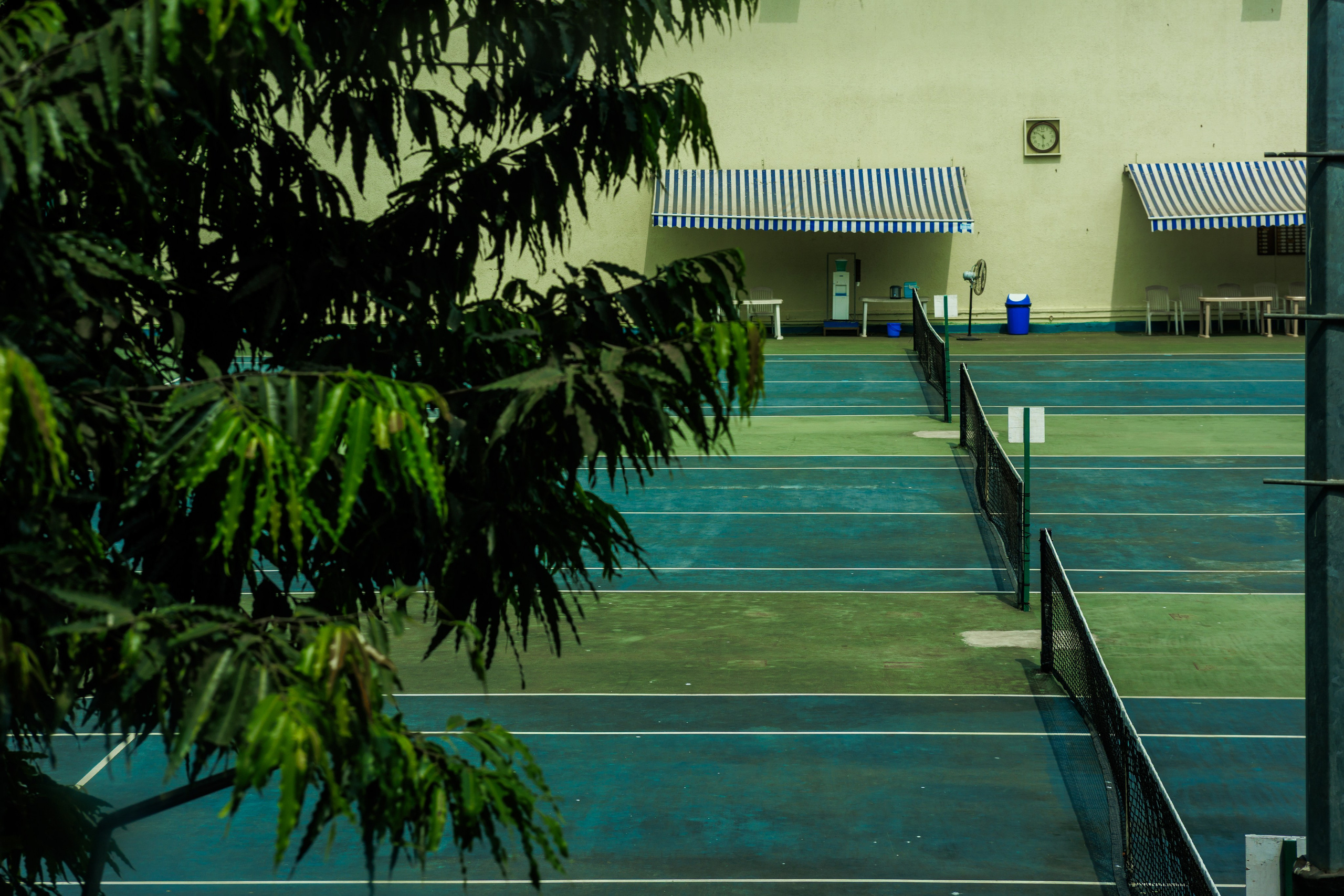 Открытый теннисный корт с сеткой, окружённый зелёными деревьями