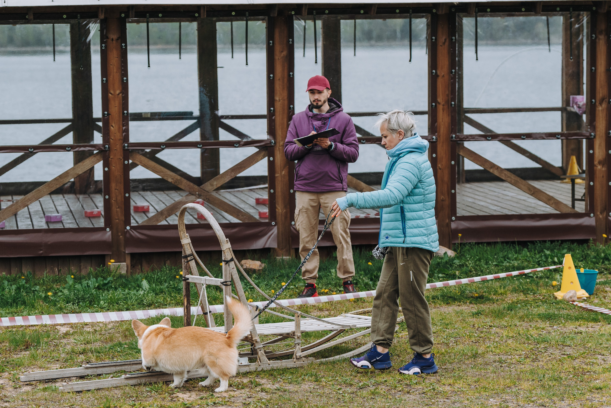 Соревнования по ноузворку в Лосево. Фотограф анималист в Спб недорого Олеся Майорова