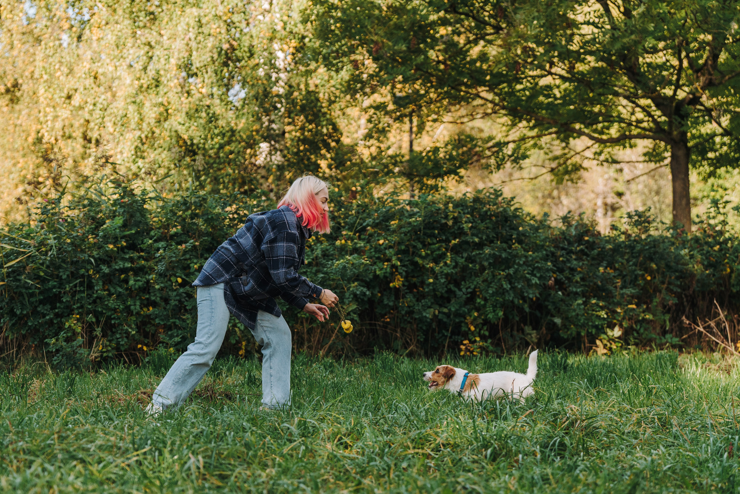 Фотосессия с маленькой собакой Спб. Фотограф анималист в Спб недорого Олеся Майорова