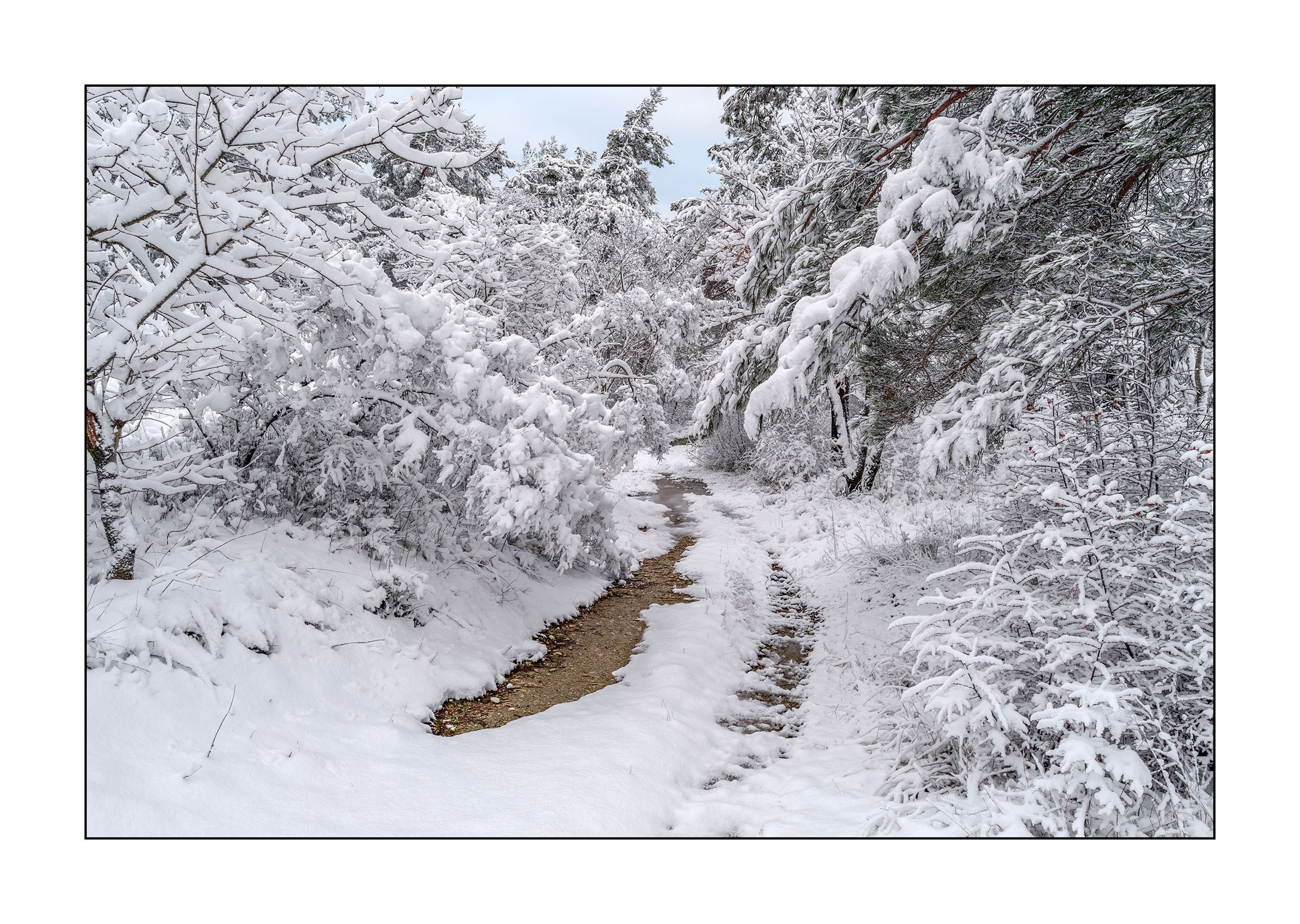 фотограф Геленджик