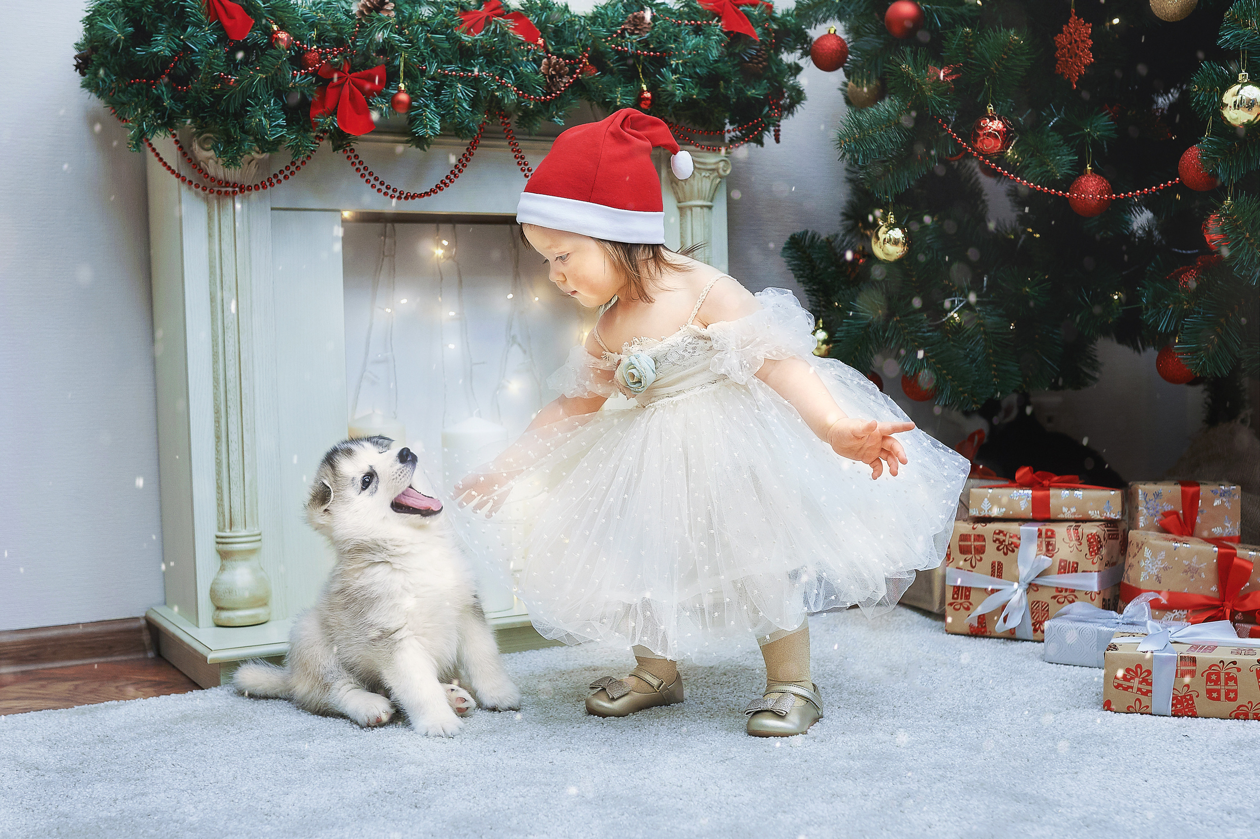 Портреты. Главная