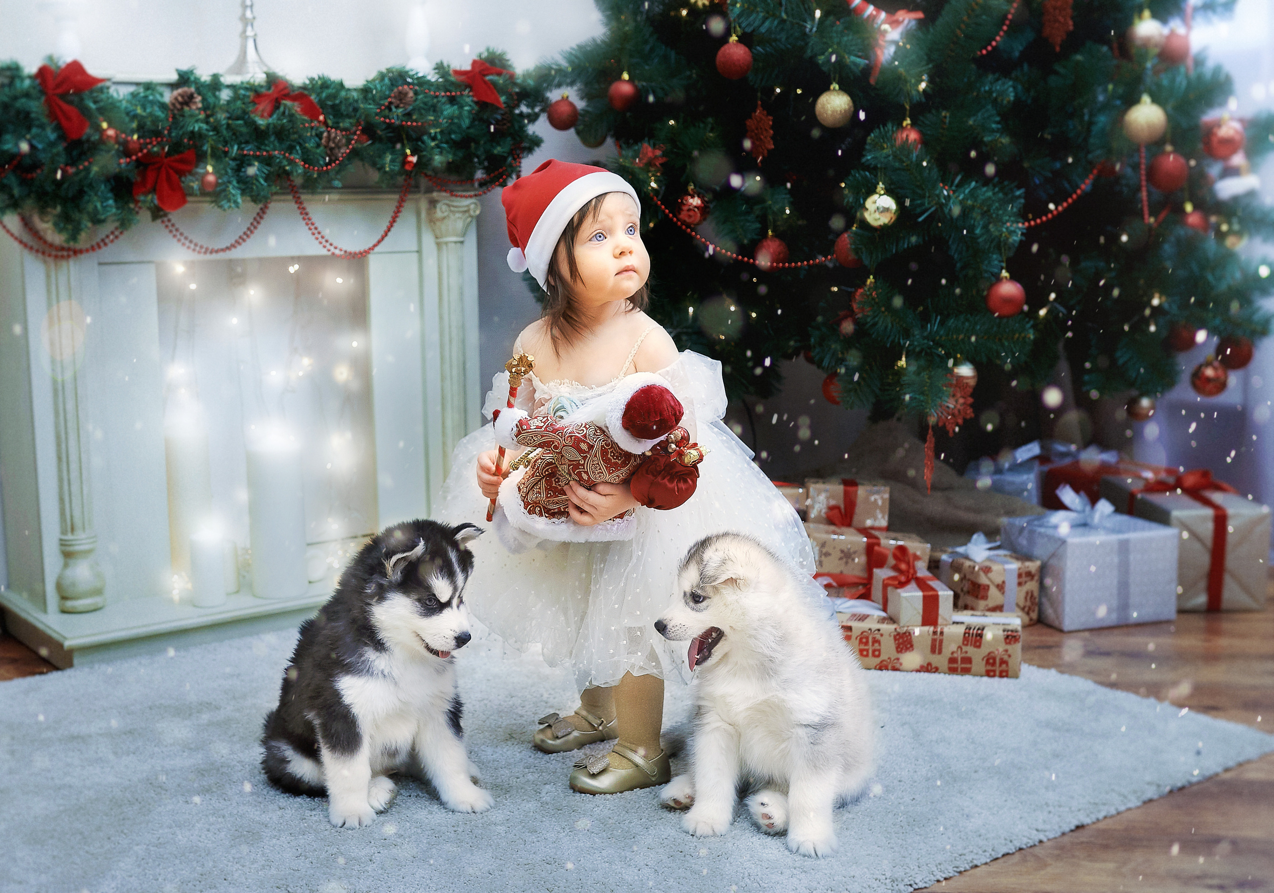 Портреты. Главная