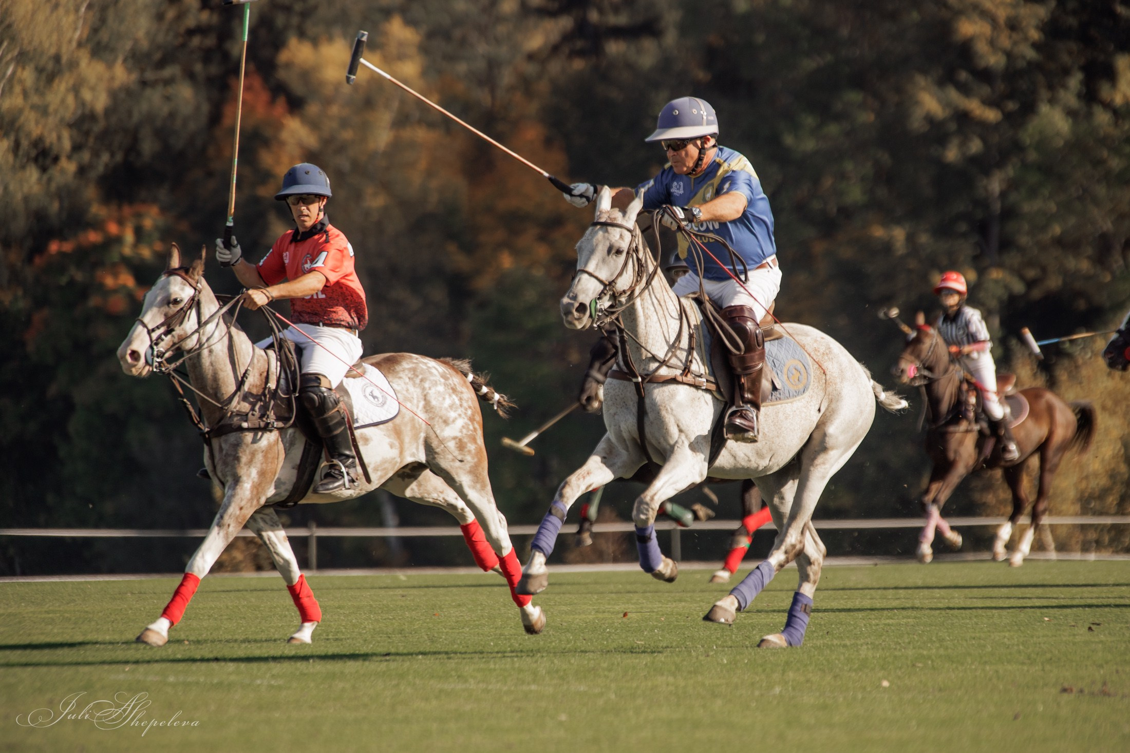 Осенний кубок по конному поло. Детская Конная фотография в Москве Юлия Шепелева