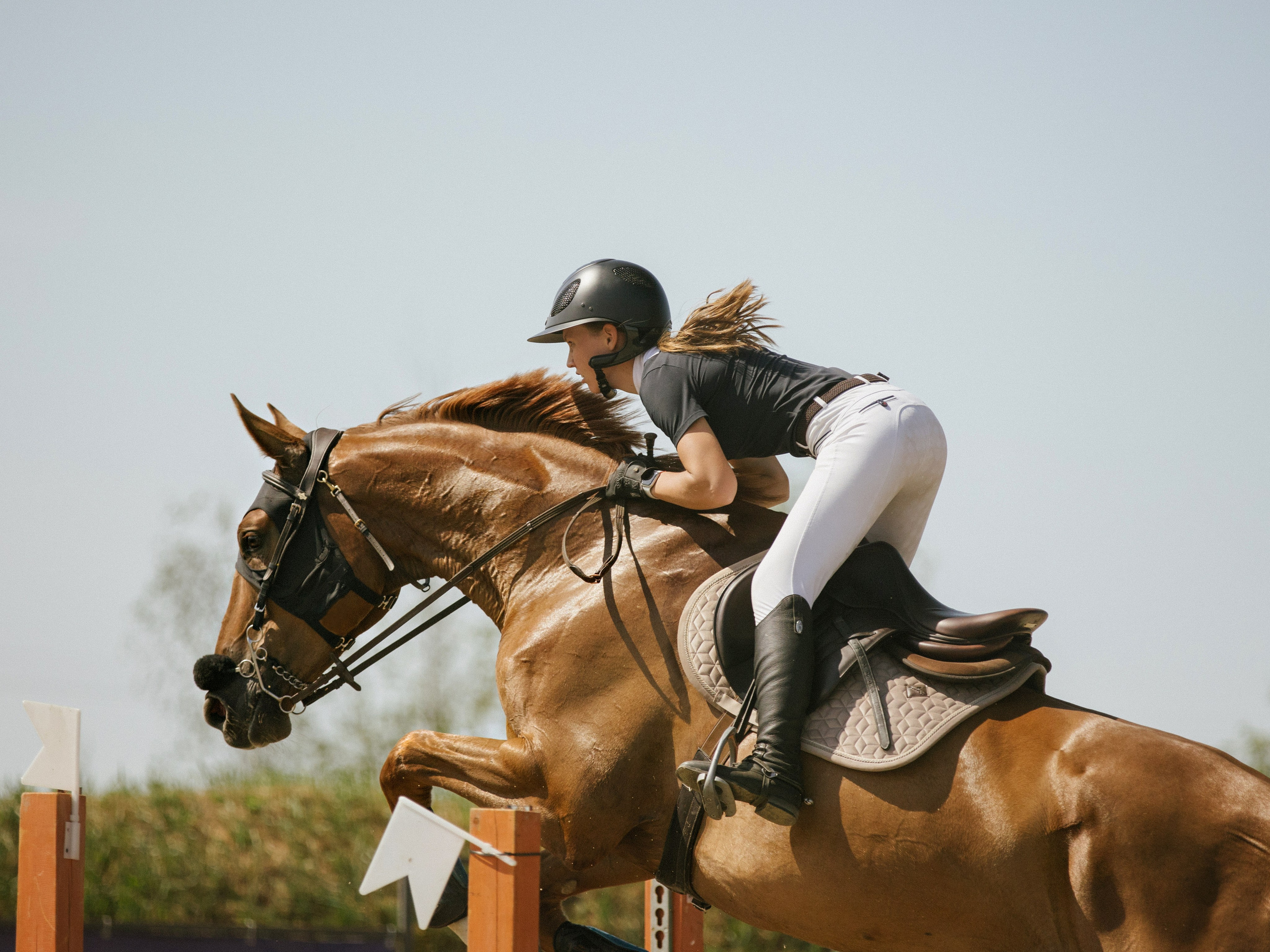 Спортивные фото/видео съёмки (конкур, выездка). Конный фотограф в Калининграде Елена Курбатова